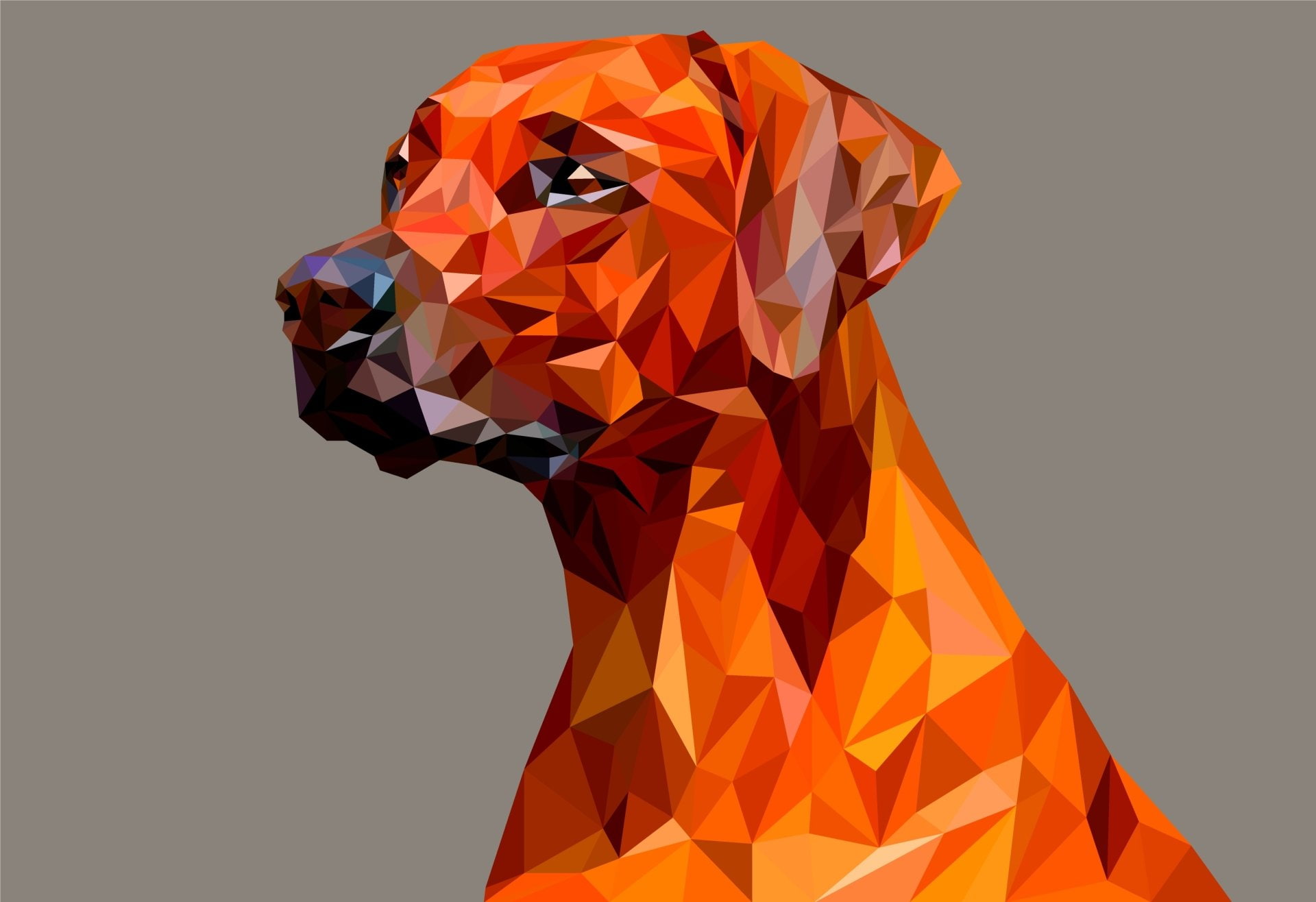 Abstract, Facets, Artistic, Digital Art, Dog, Low Poly, Polygon