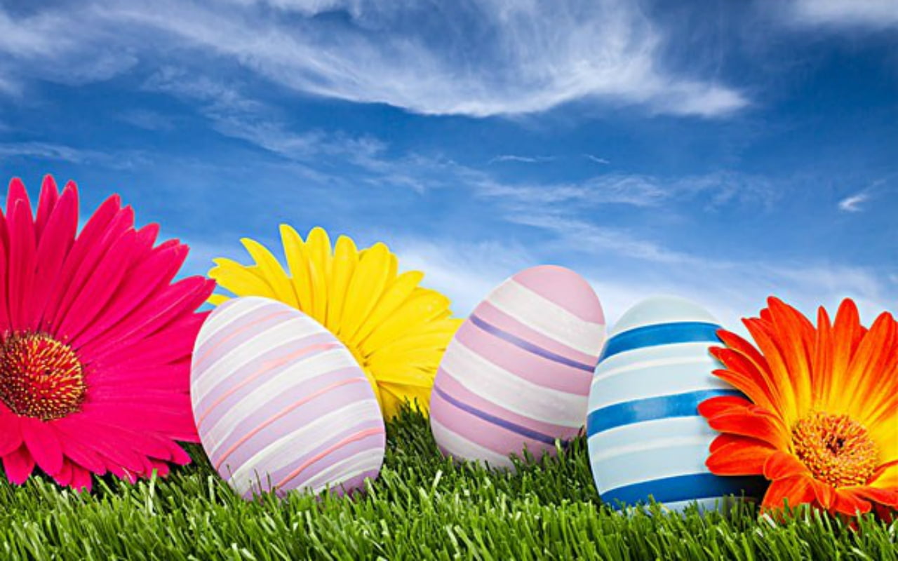 Easter Eggs, flowers, sky, grass, multi colored, plant, summer