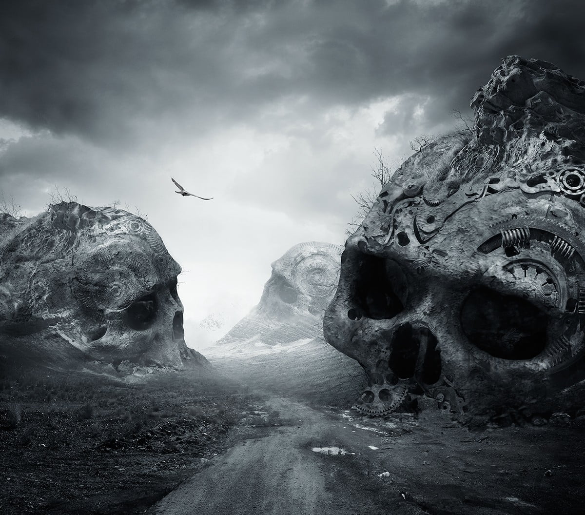 three skulls, nature, landscape, dirtroad, death, monochrome