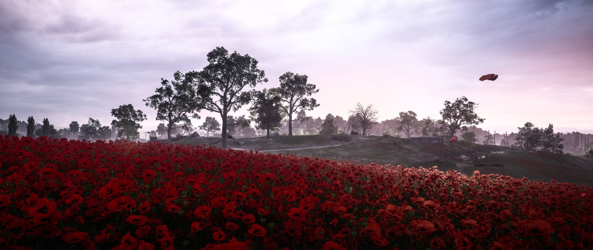 Battlefield, Battlefield 1, Flower, Landscape, Poppy, Red Flower