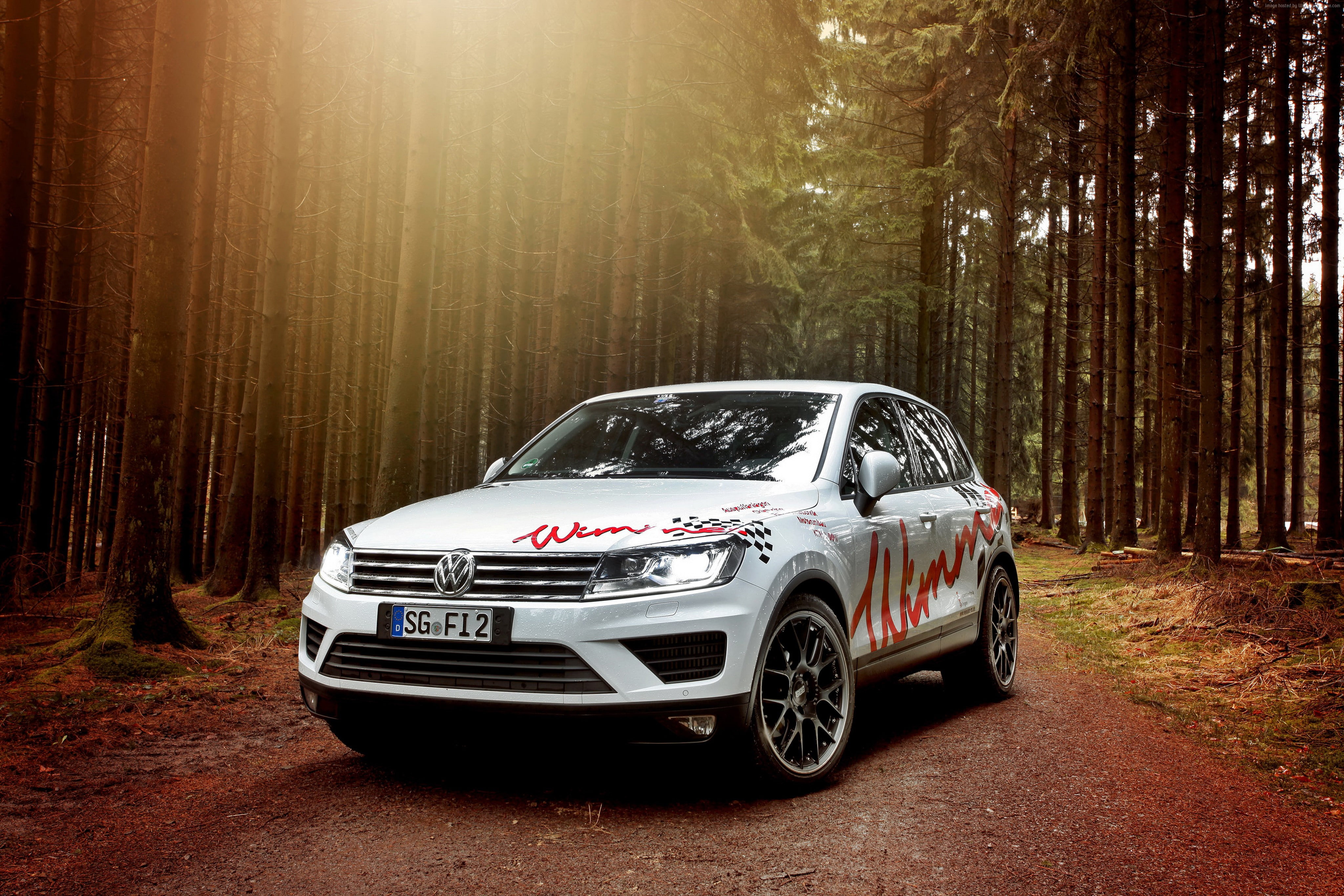 wimmer, white, forest, Wimmer RS Volkswagen Touareg