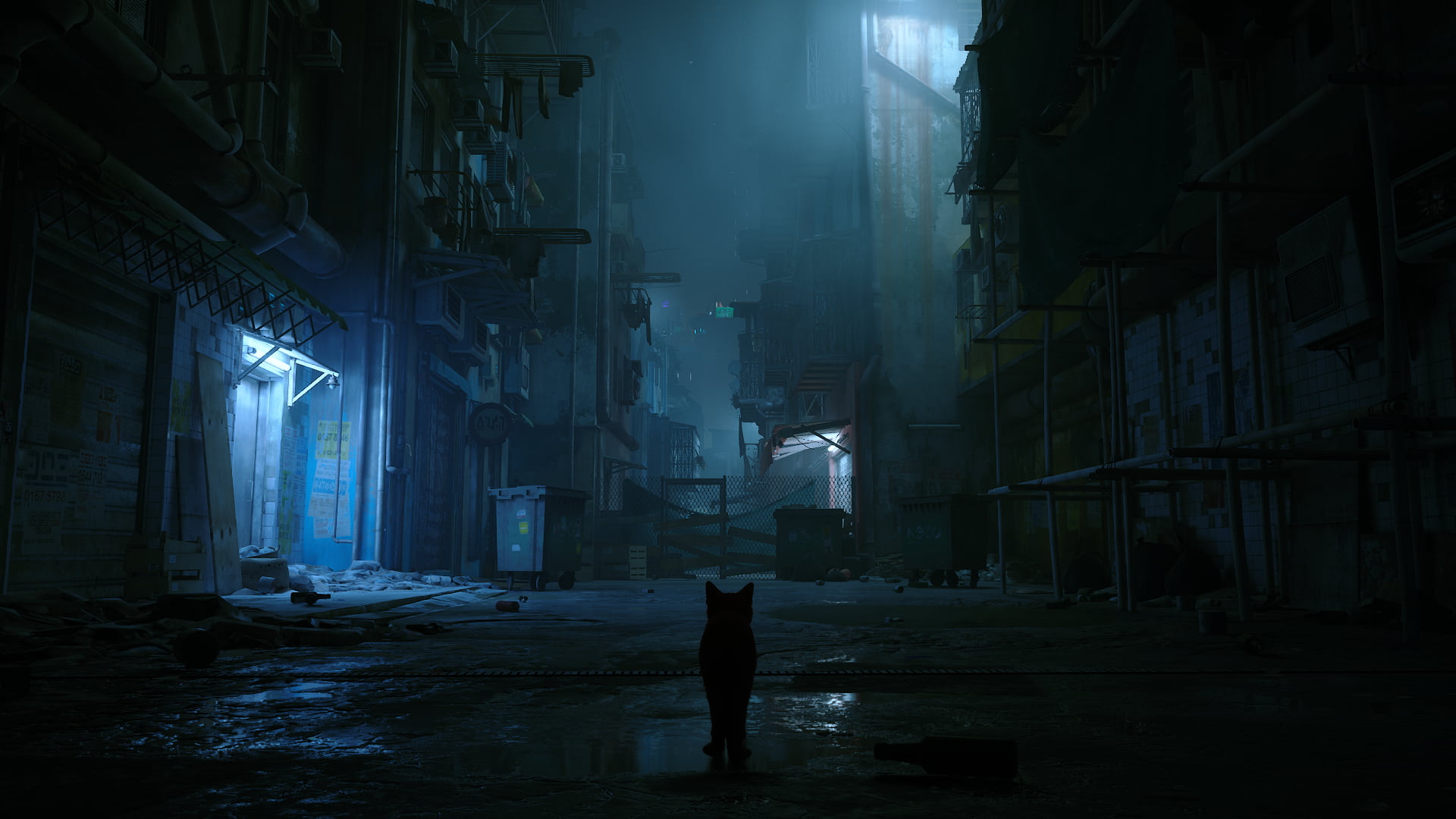 Free download | HD wallpaper: Stray, video games, PC gaming, video game