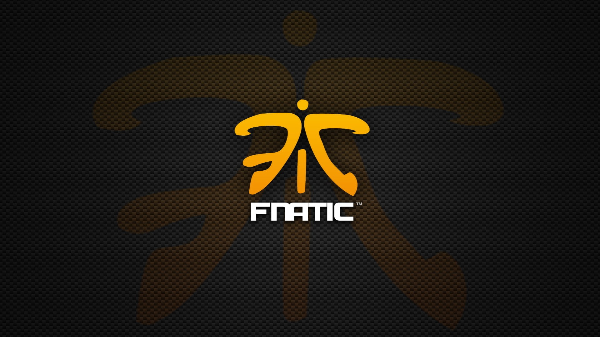 fnatic, communication, text, western script, close-up, no people