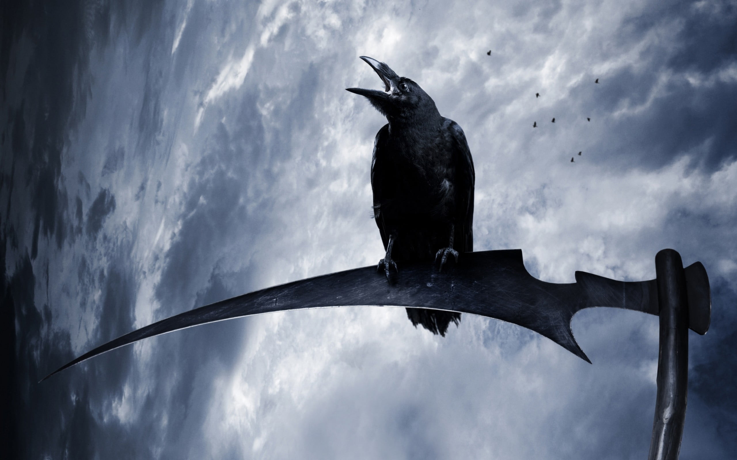 black crow, raven, animals, birds, scythe, fantasy art, animal wildlife