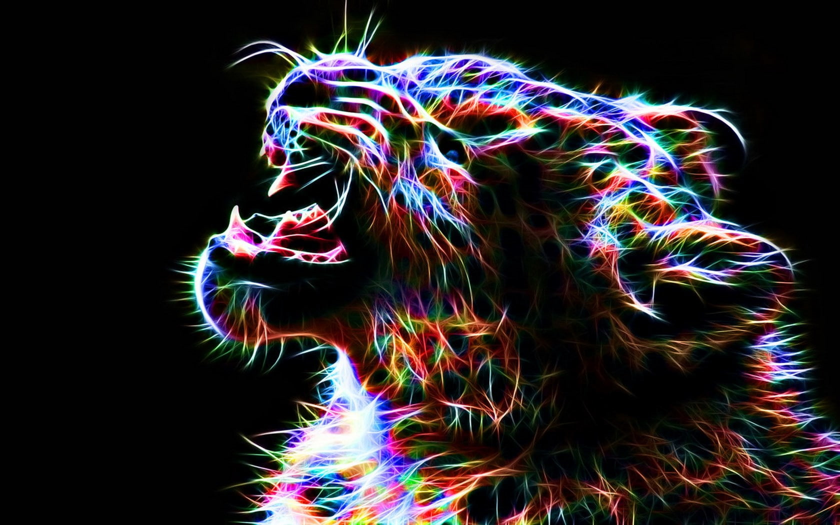 leopard, black background, studio shot, multi colored, indoors