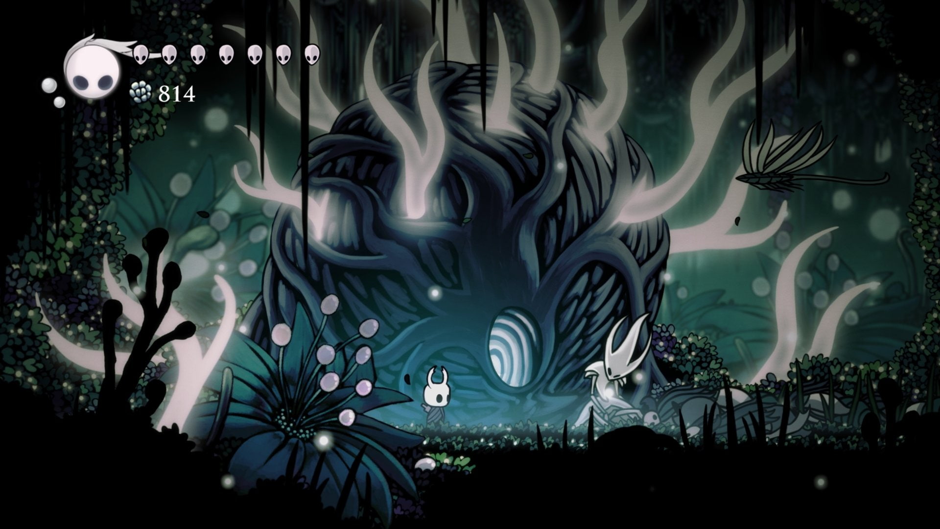 Video Game, Hollow Knight