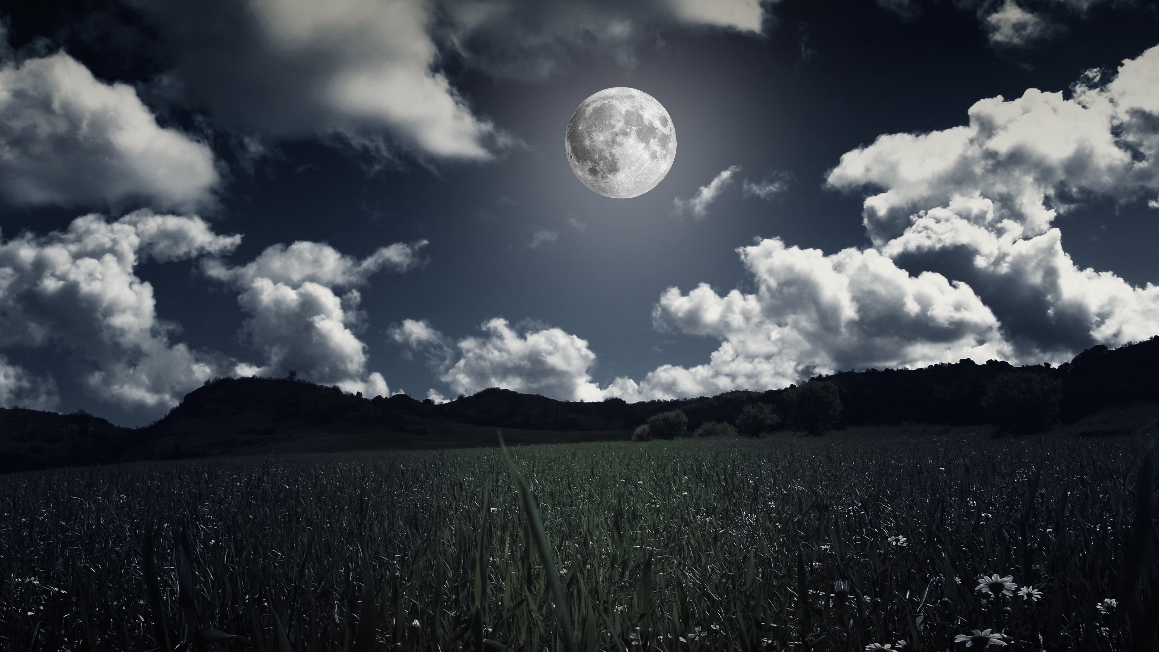 full moon, moonlight, field, night sky, clouds, night landscape