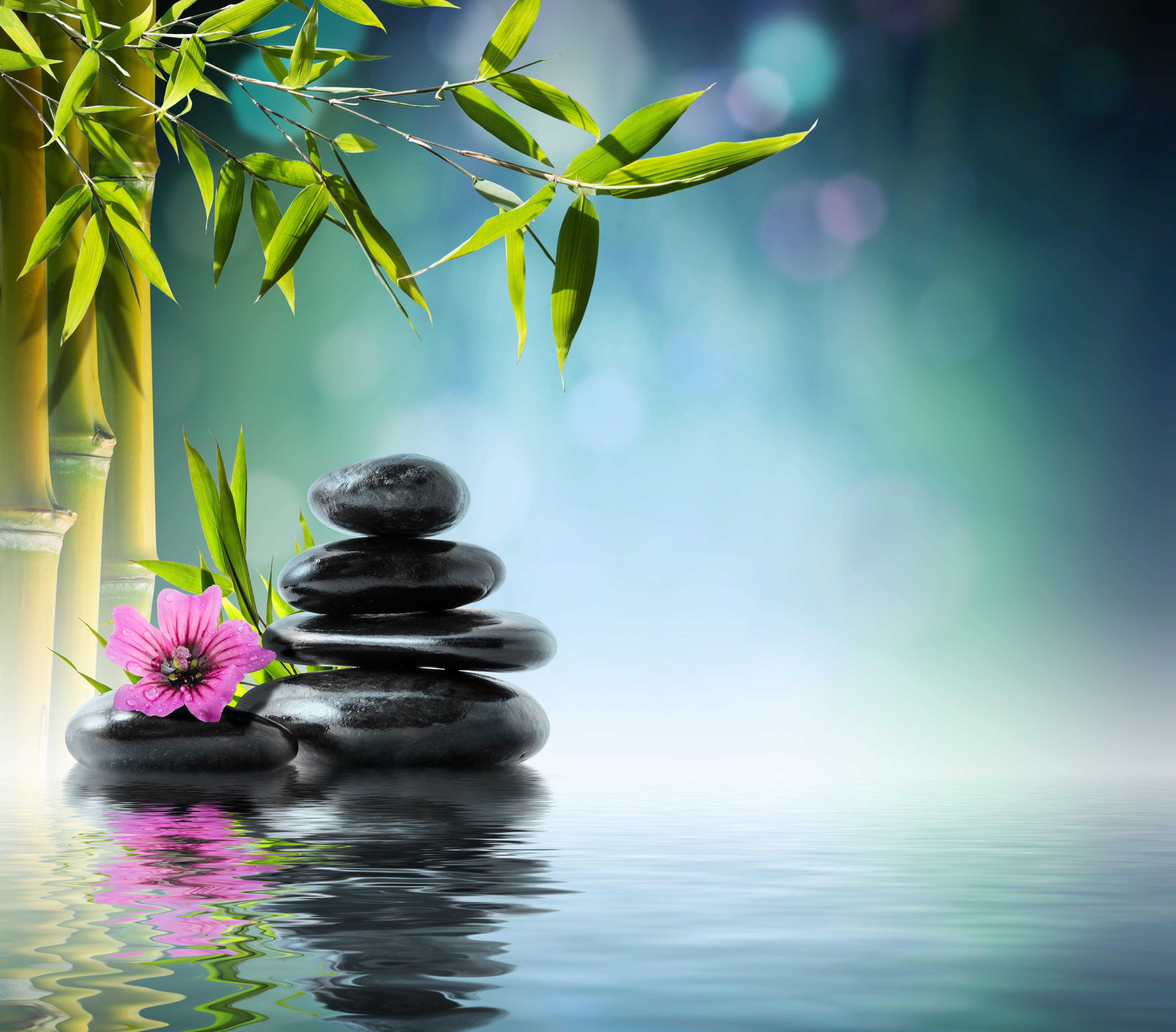 black stones, flower, water, bamboo, orchid, reflection, spa