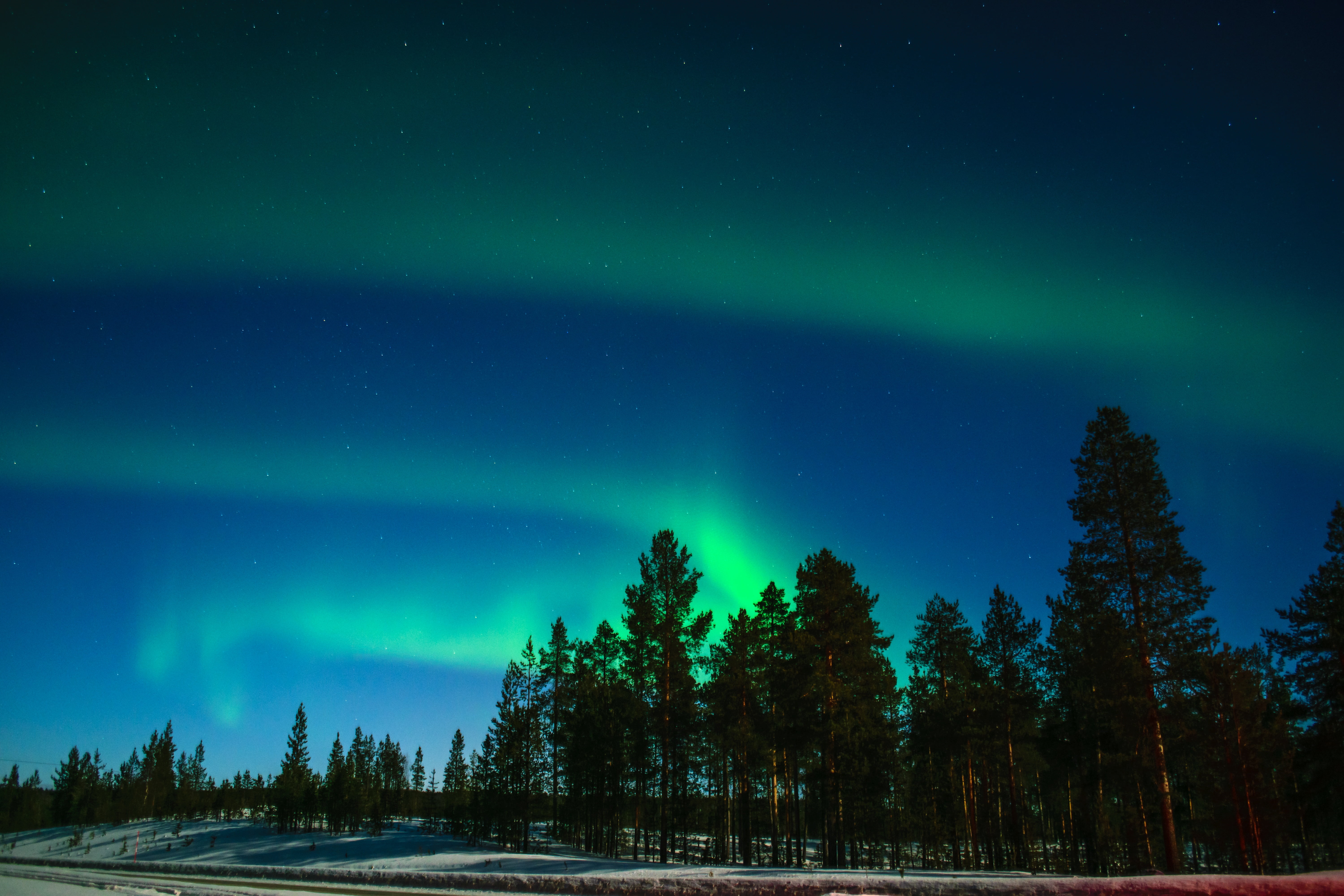 Free download | HD wallpaper: northern lights, aurora, trees, light