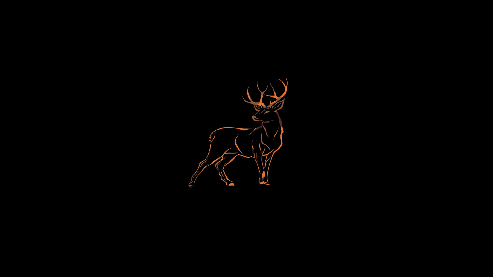 deer, wildlife, copy space, black background, studio shot, illuminated