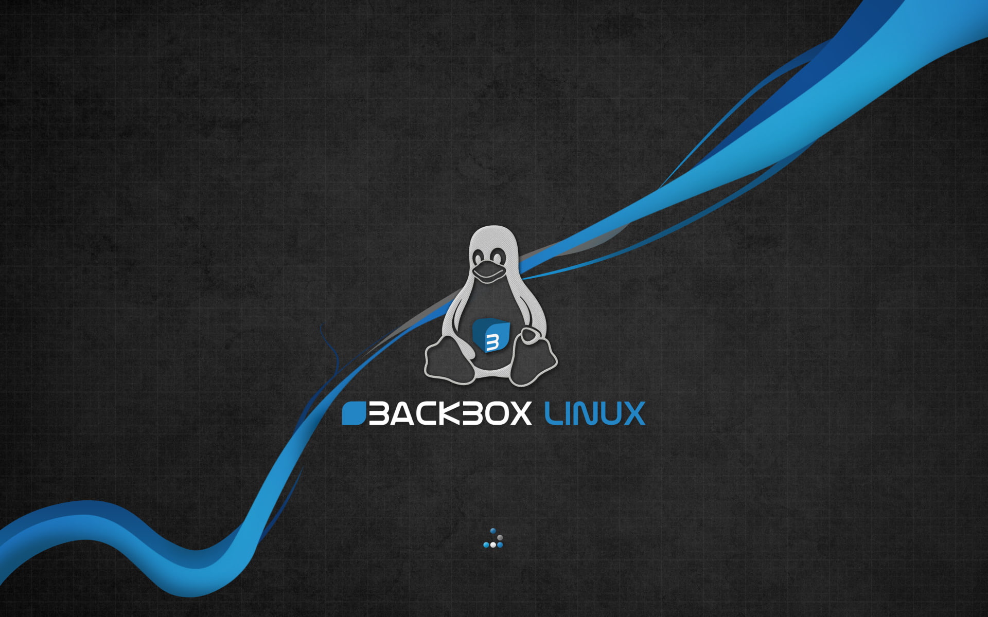 Technology, Linux, BackBox, Operating System, studio shot, communication