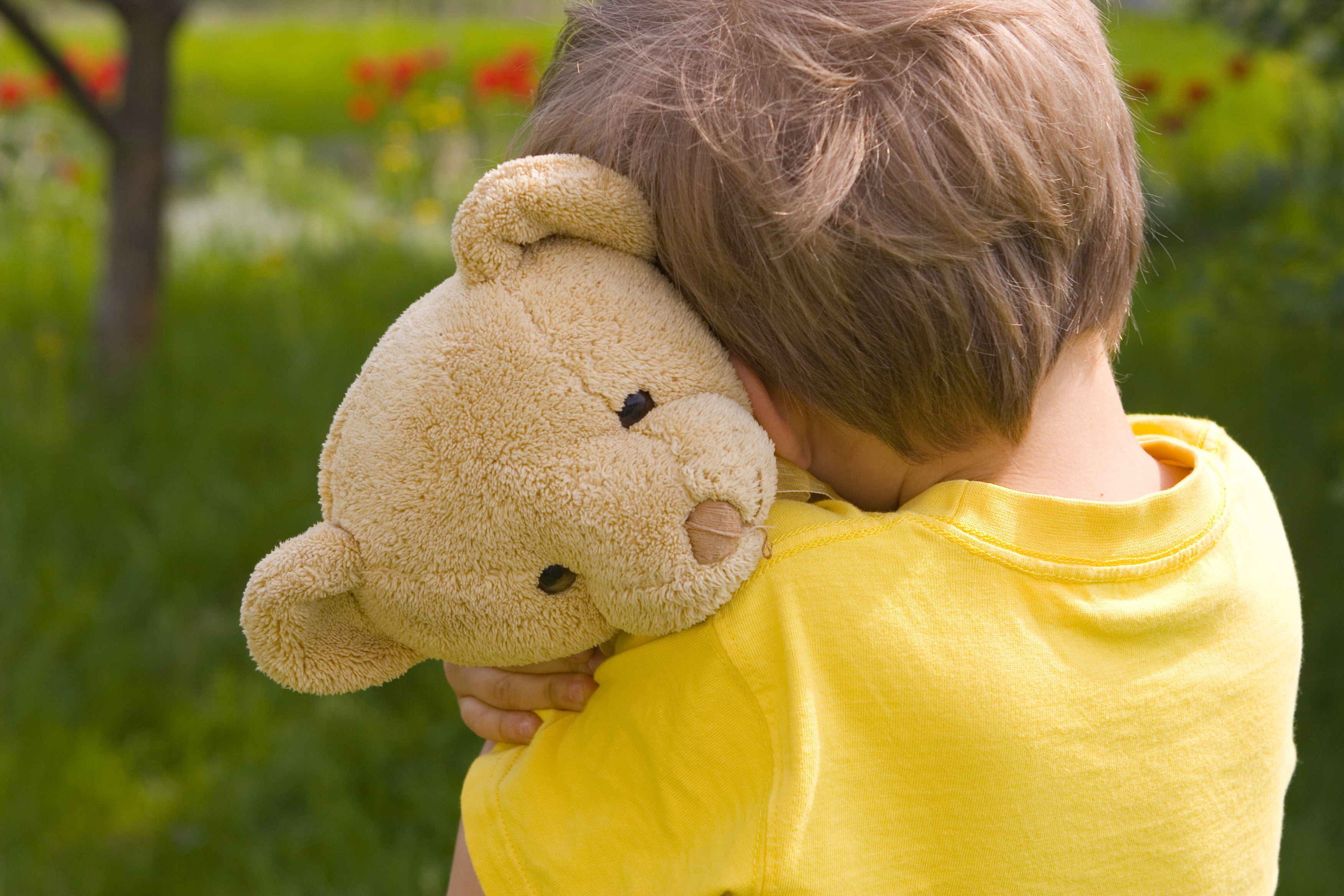 brown bear plush toy, sadness, children, childhood, loneliness