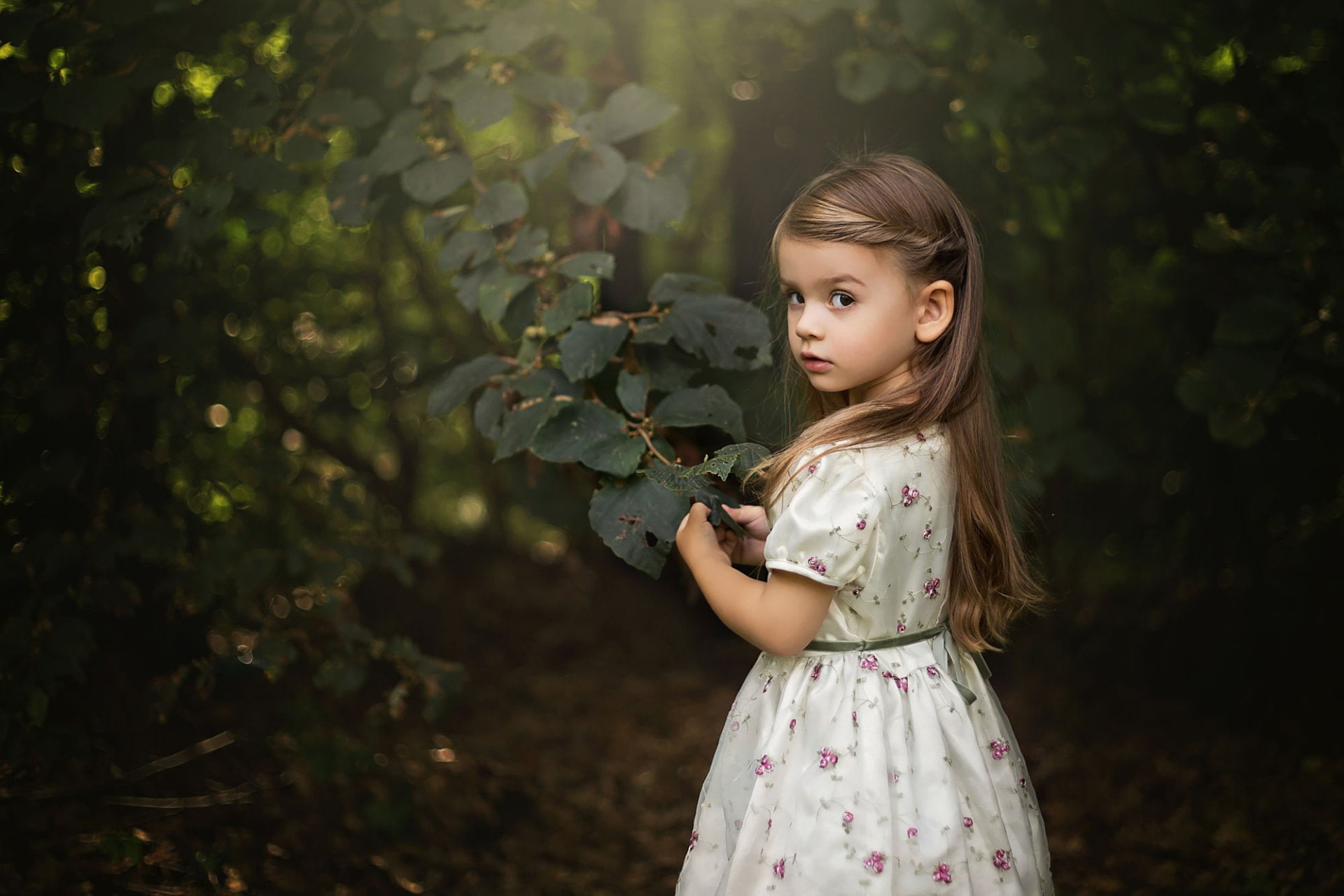 Photography, Child, Cute, Dress, Forest, Little Girl, Tree