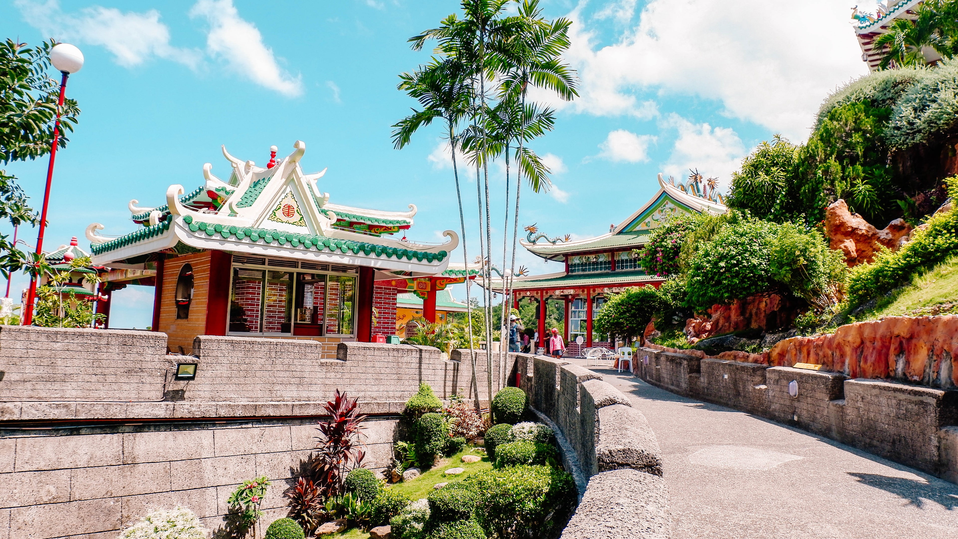 cebu taoist temple, tourist attraction, tourism, palm tree