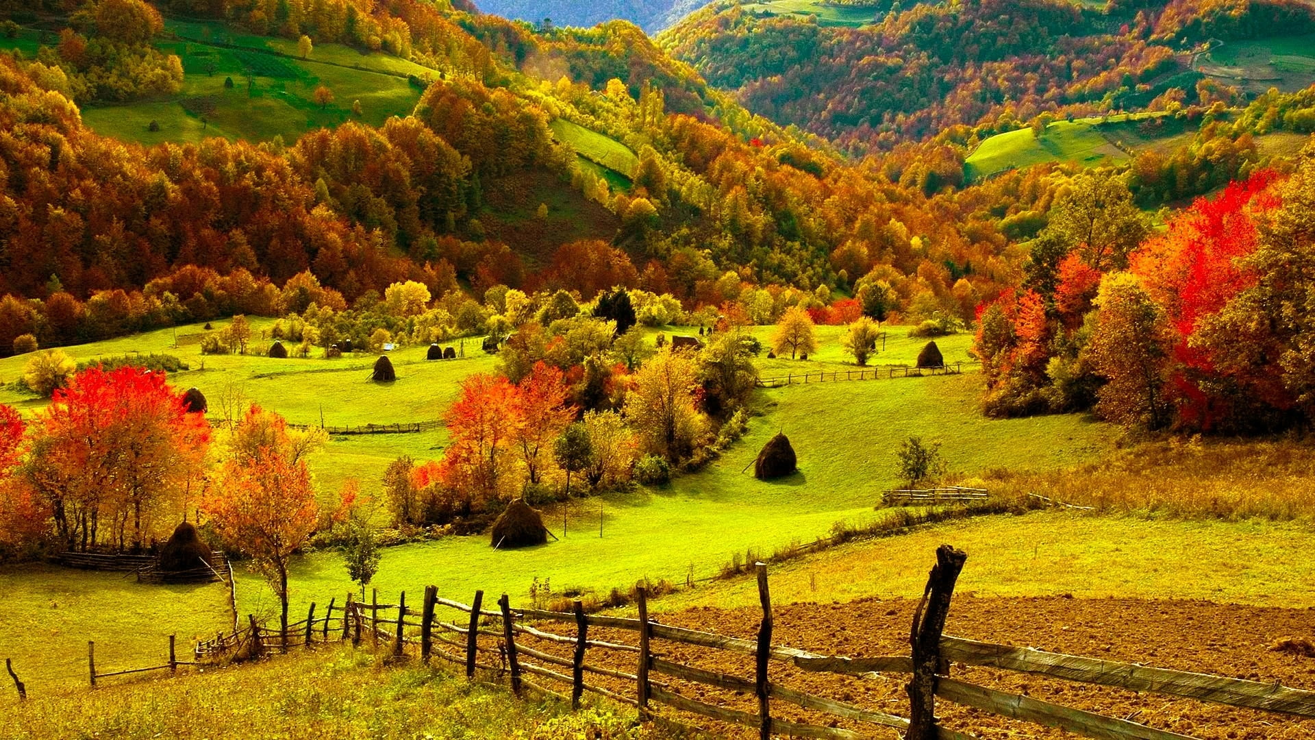 autumn, bright, color, crops, fall, farm, fence, fields, forests