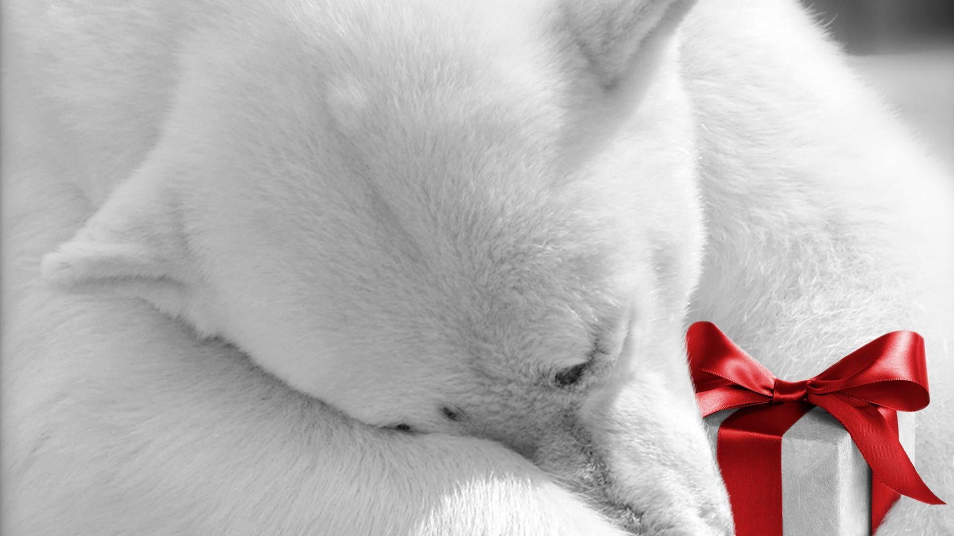 Polar bear holding Christmas present, white polar bear, holidays