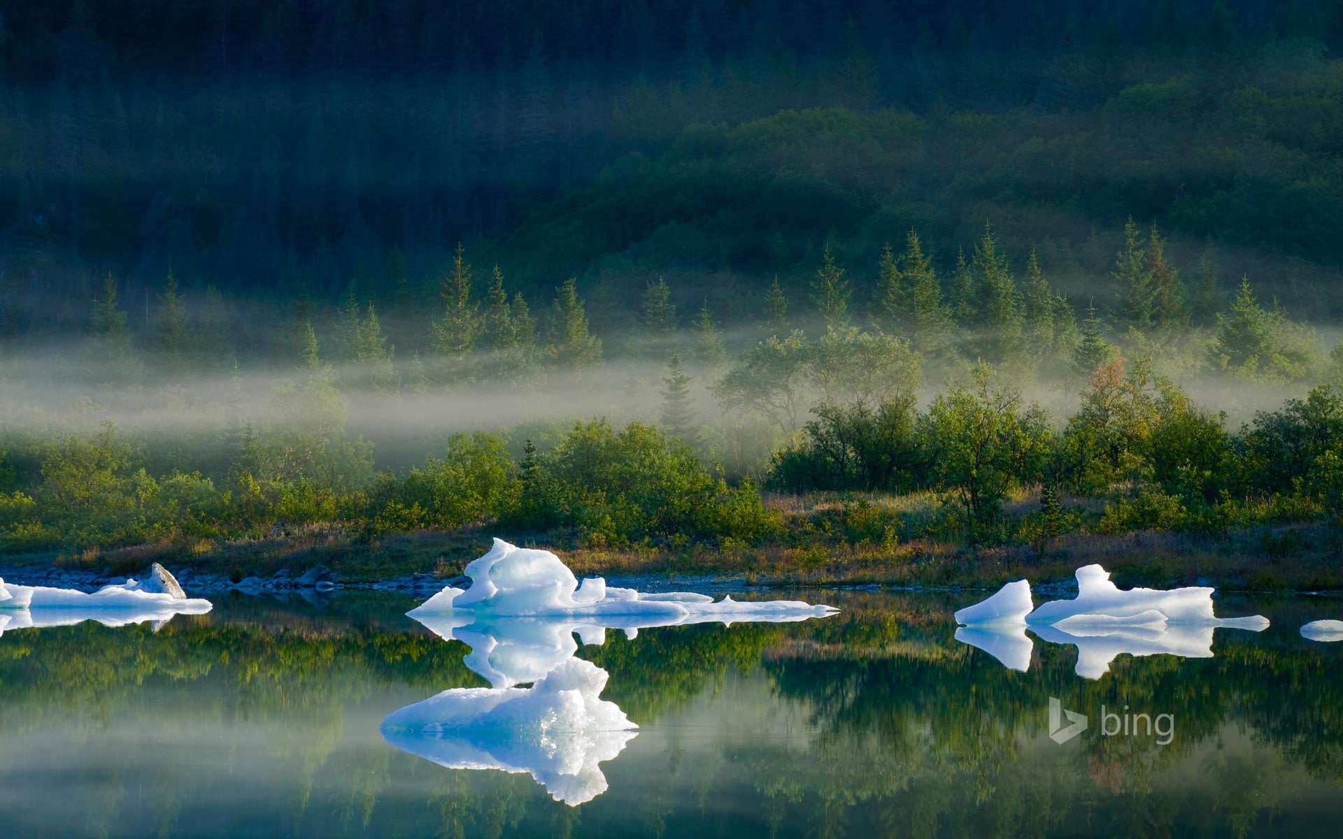 Kenai Fjords National Park Alaska-Bing Desktop Wal.., reflection