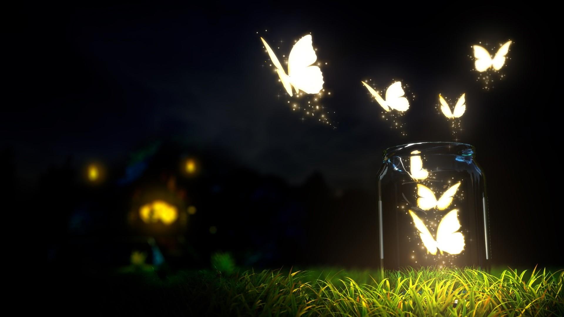 butterfly, butterflies, light, night, jar