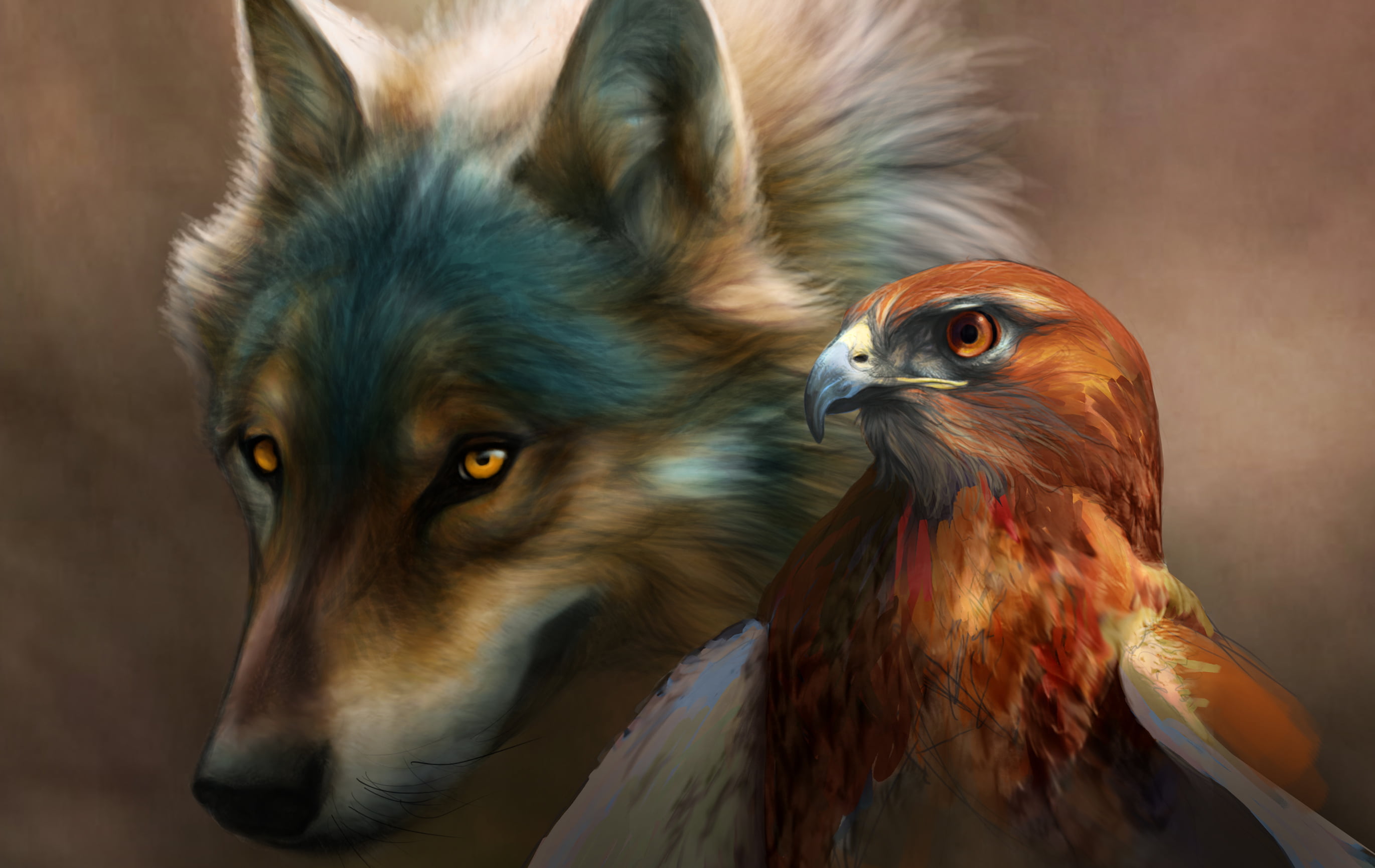 wolf and hawk digital wallpaper, bird, eagle, painting, art, novawuff