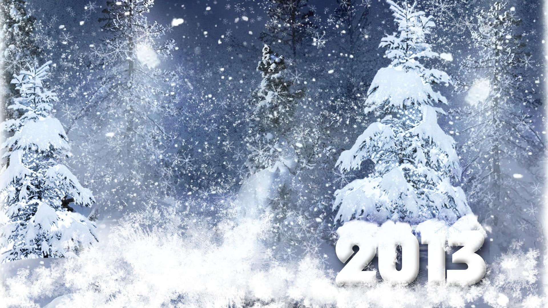 Winter 2013, new year, snowflakes, wonderland, cold, forest, trees