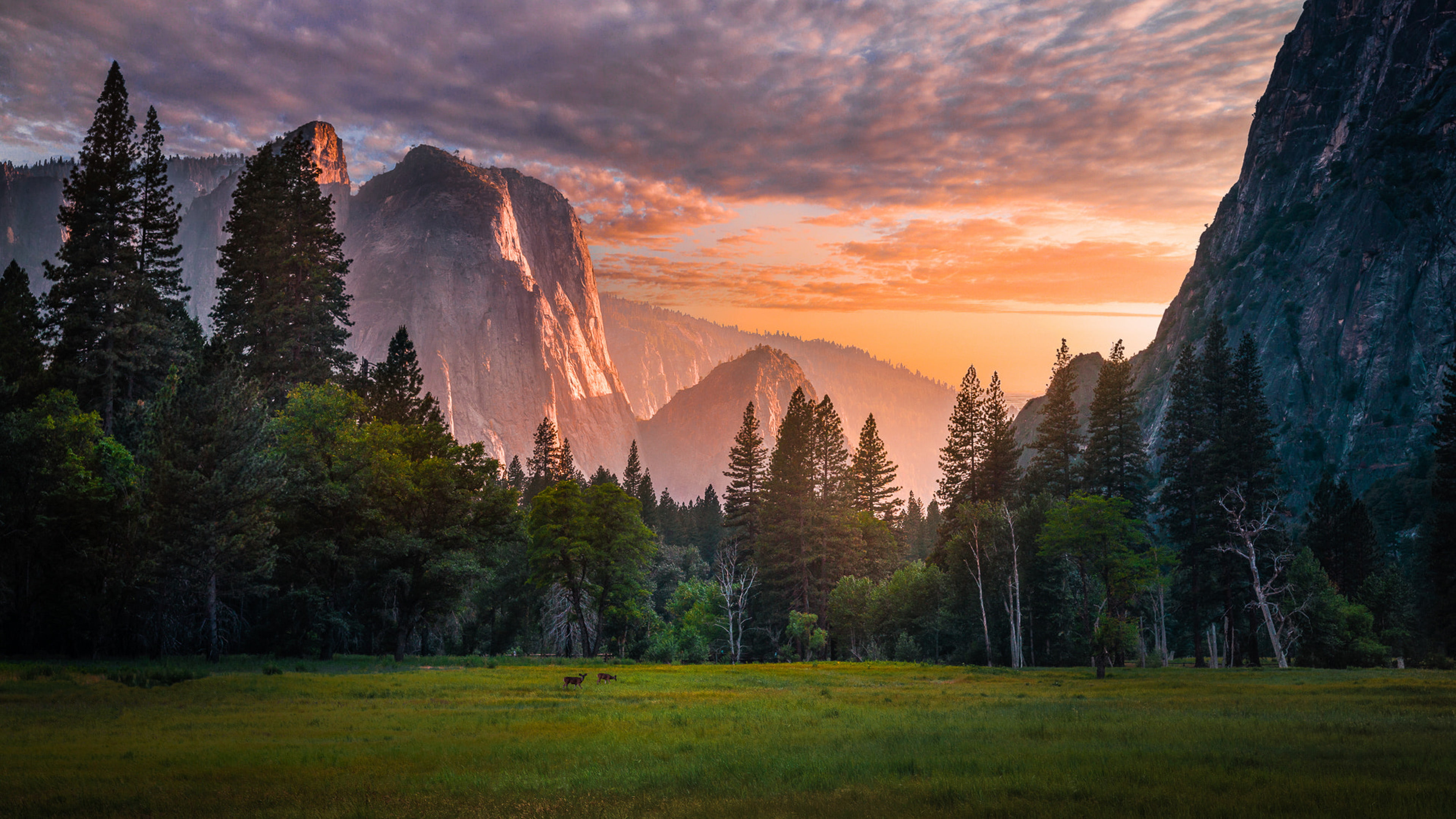 Yosemite National Park