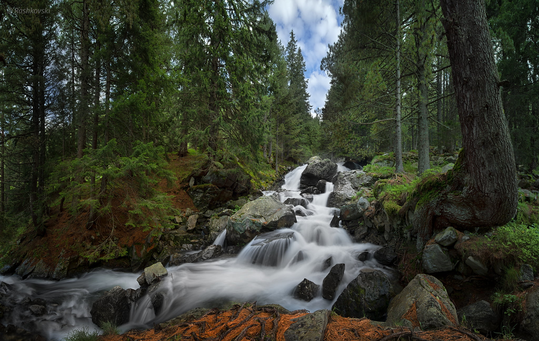 waterfalls stream digital wallpaper, forest, Bulgaria, Rila National Park