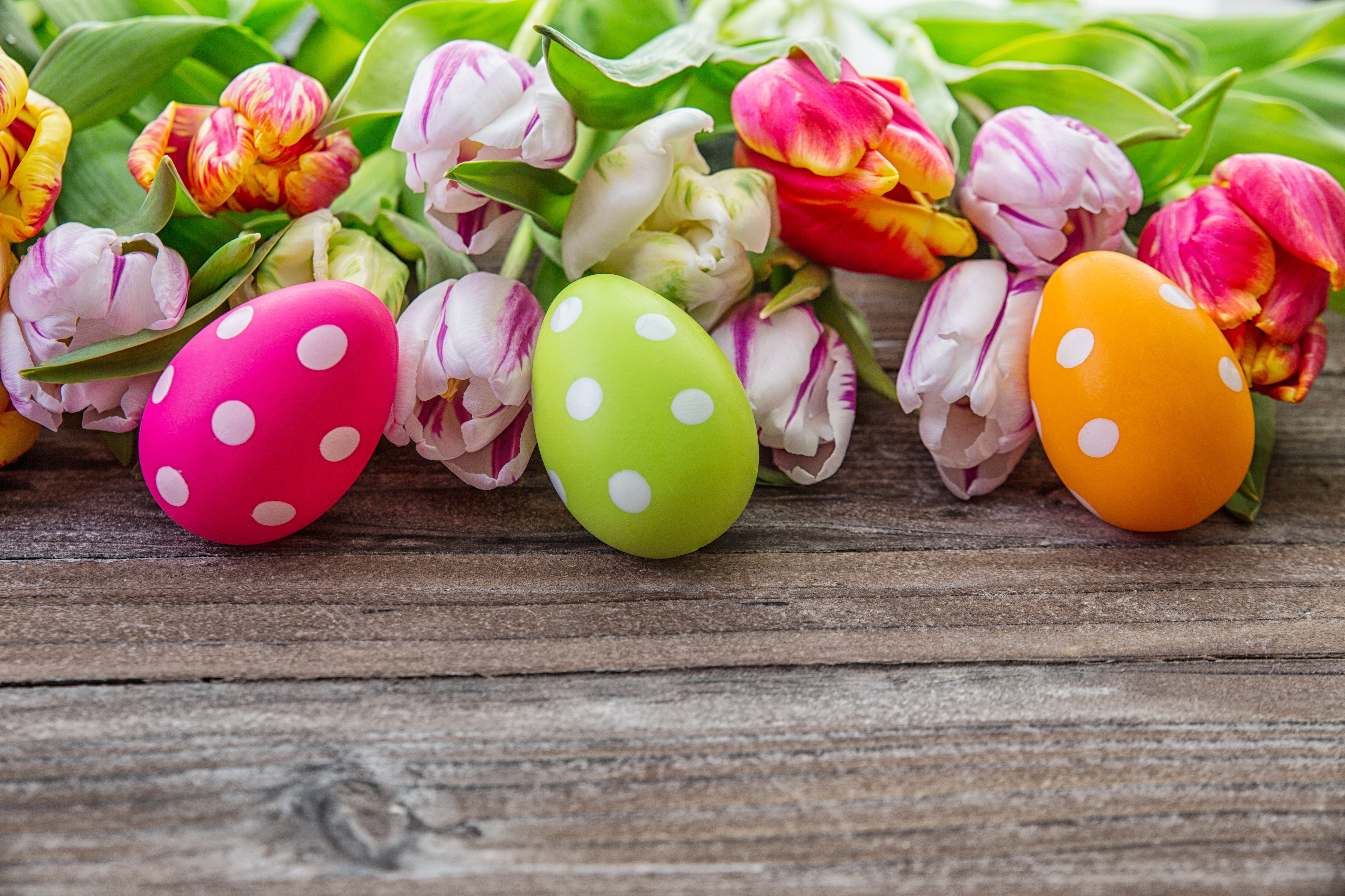 eggs, Easter, Easter eggs, happy easter
