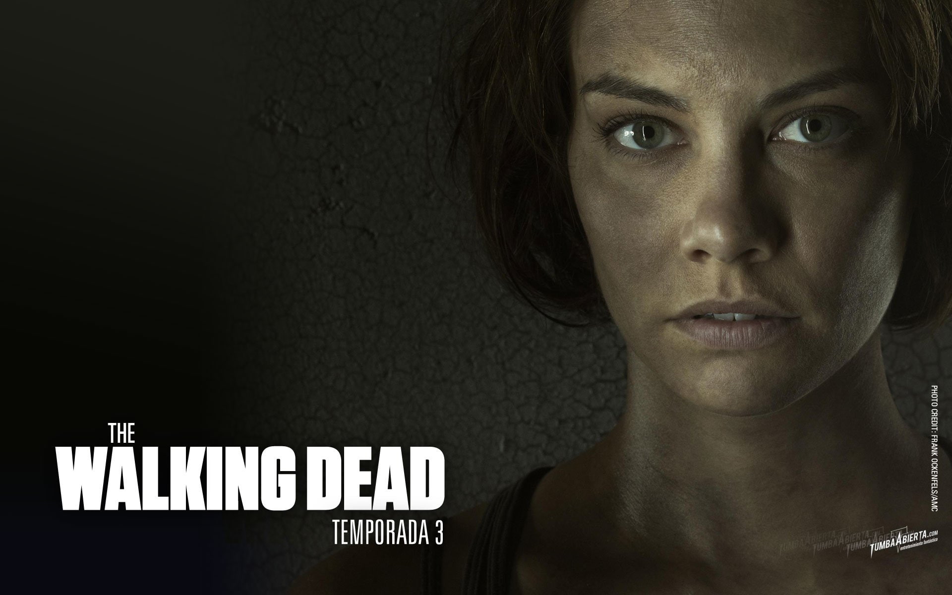 TV Show, The Walking Dead, Lauren Cohan, Maggie Greene