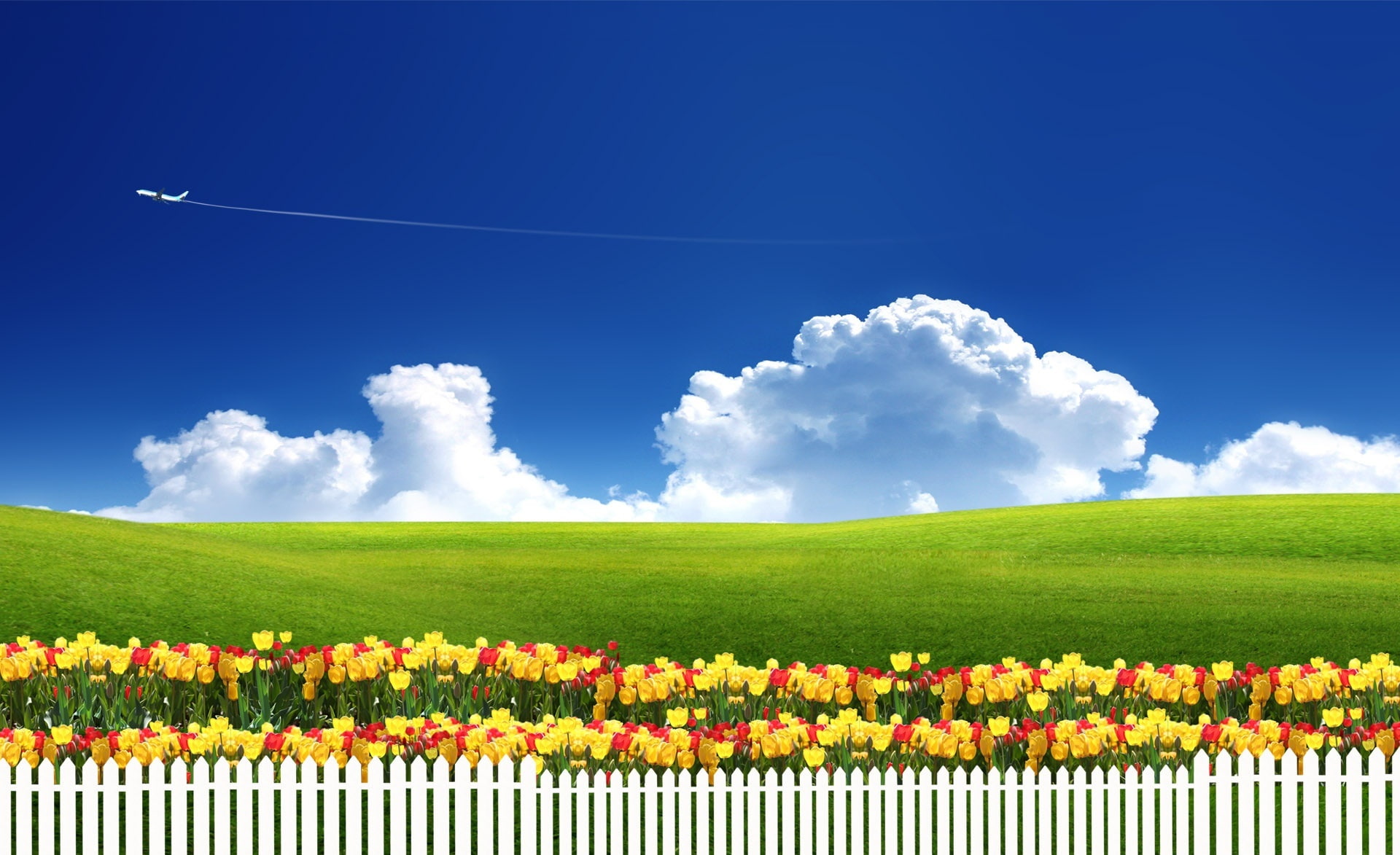 Dreamscape Spring 9, airplane flying over green field with flowers digital wallpaper