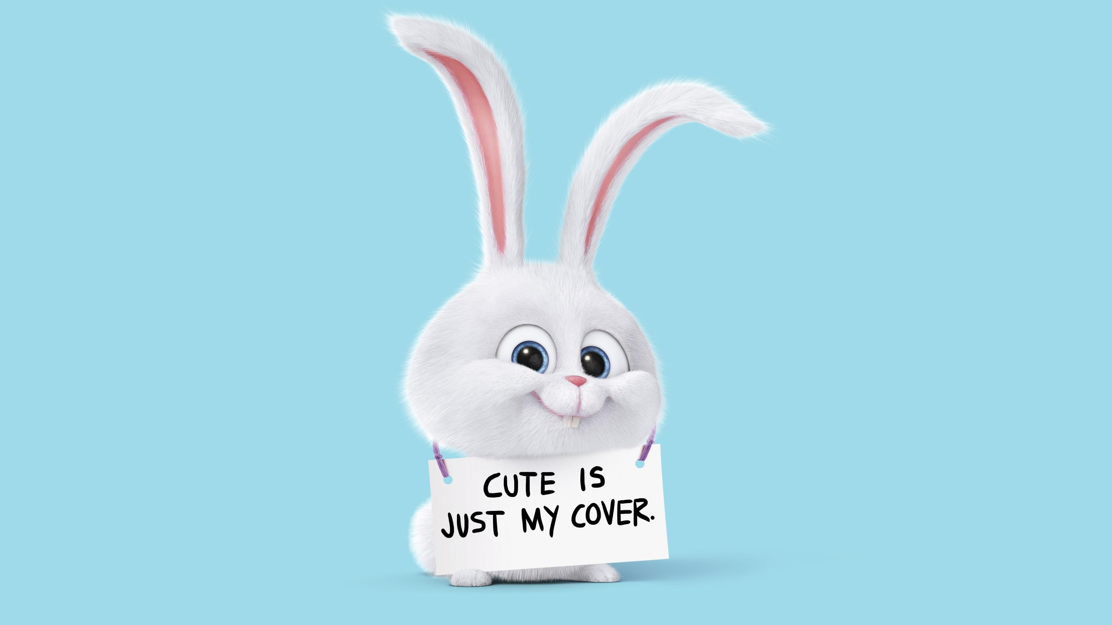 Secret Life of Pets rabbit character holding signage, funny, light blue