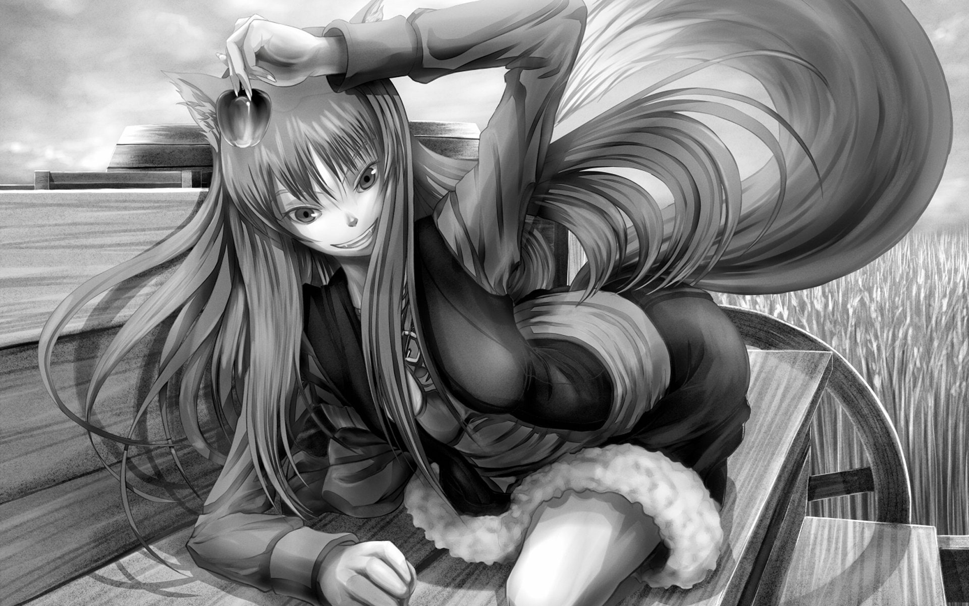 animal, ears, holo, nekomimi, spice, wise, wolf