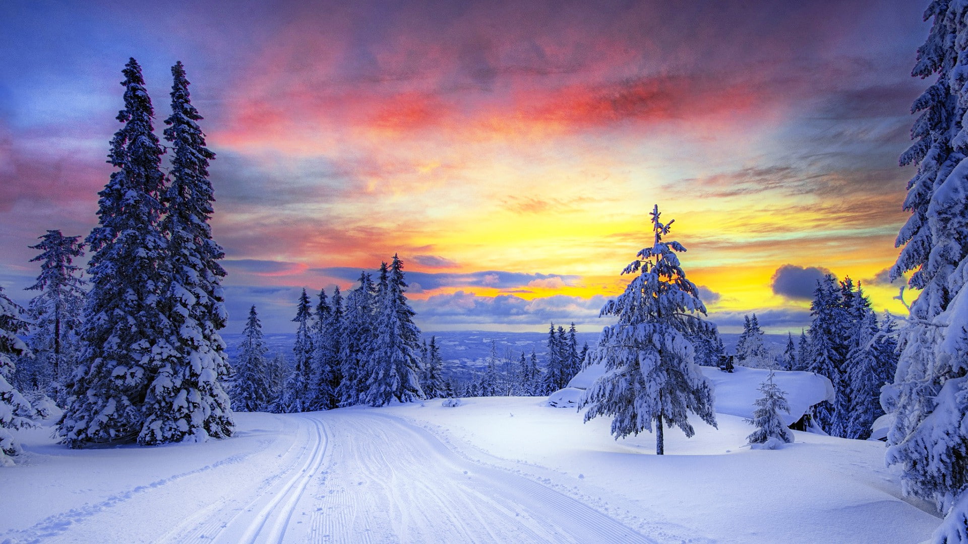 Free download | HD wallpaper: Winter sunset forest, snow, sky, trees ...