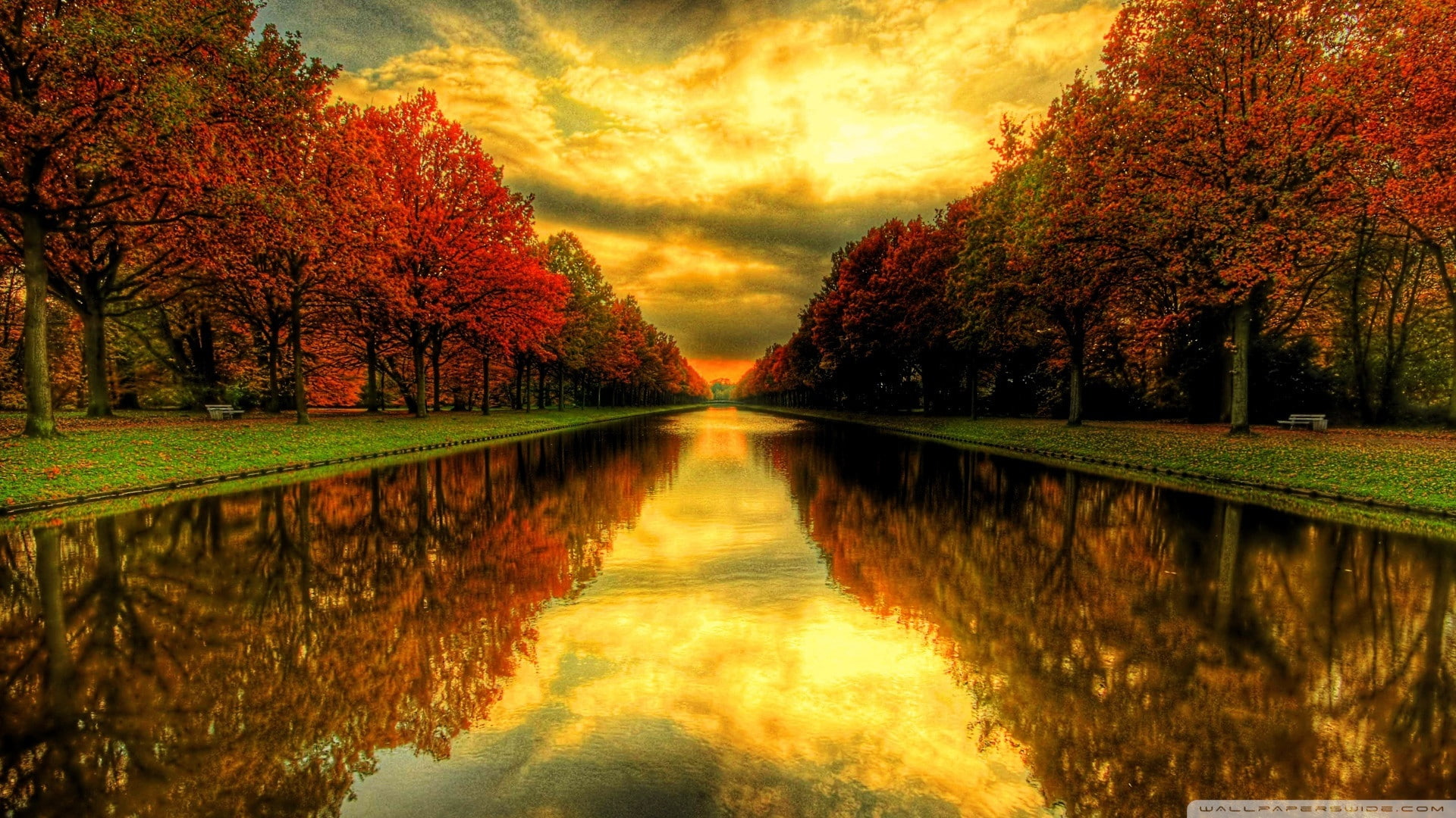 nature, 1920x1080, autumn, Water, sky, tree, fall, fall desktop