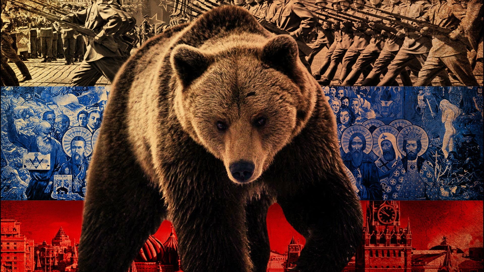 grizzly bear illustration, Russia, mammal, animal wildlife, one animal