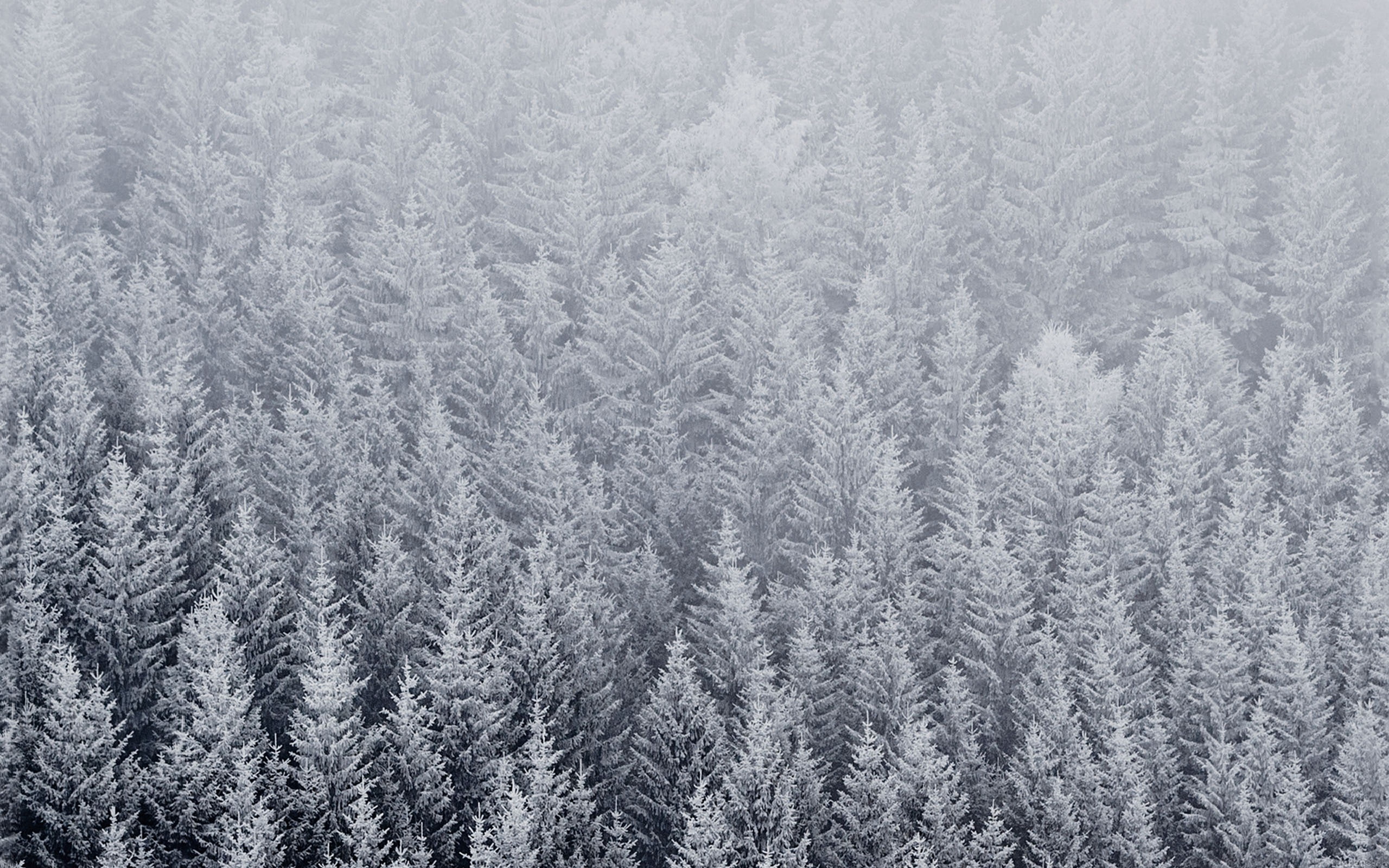 snow mountain-Apple iOS8 iPhone6 Plus HD Wallpaper, green trees
