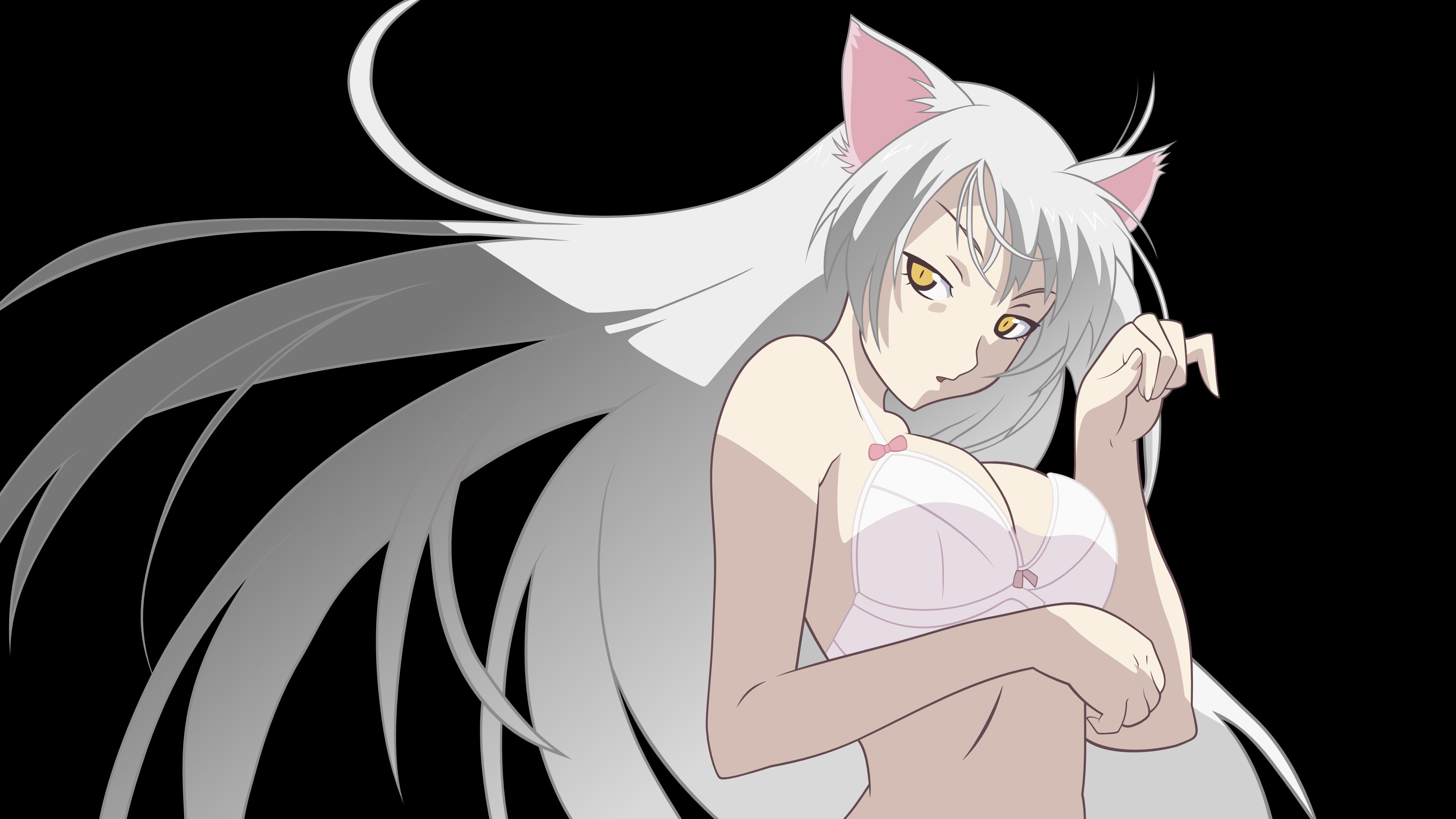 bakemonogatari