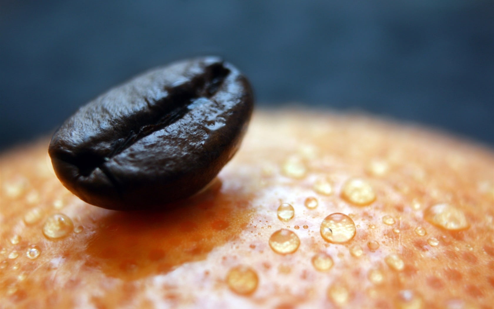 coffee bean, grain, surface, drops, close-up, freshness, brown