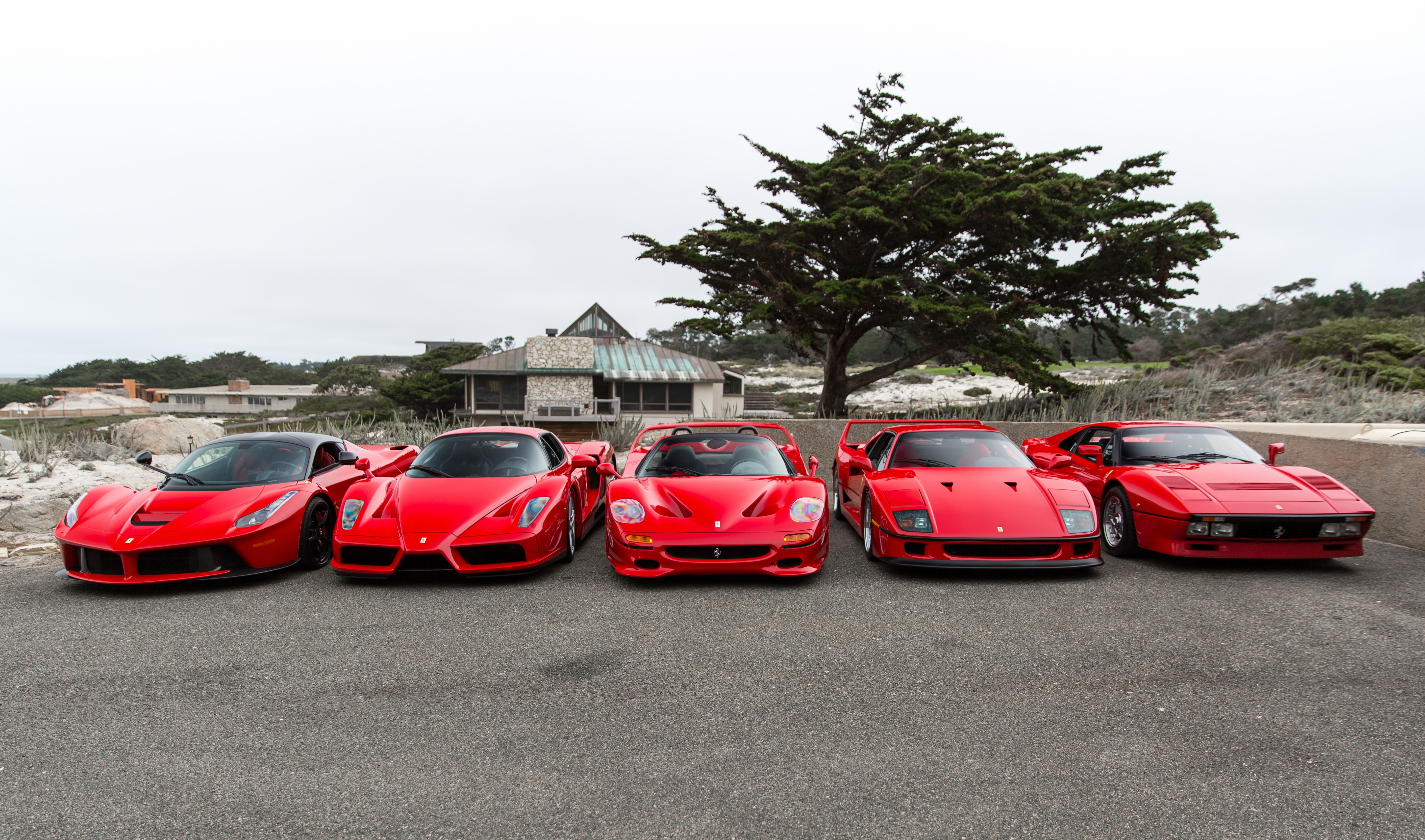 Все машины красные отрицание. F40 Ferrari Энцо. Ferrari f40 Enzo. Ferrari Enzo. Ferrari Enzo LAFERRARI.