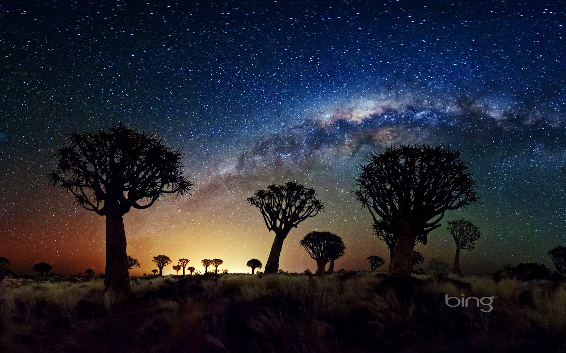 African grasslands night sky-May 2013 Bing wallpap.., silhouette of trees