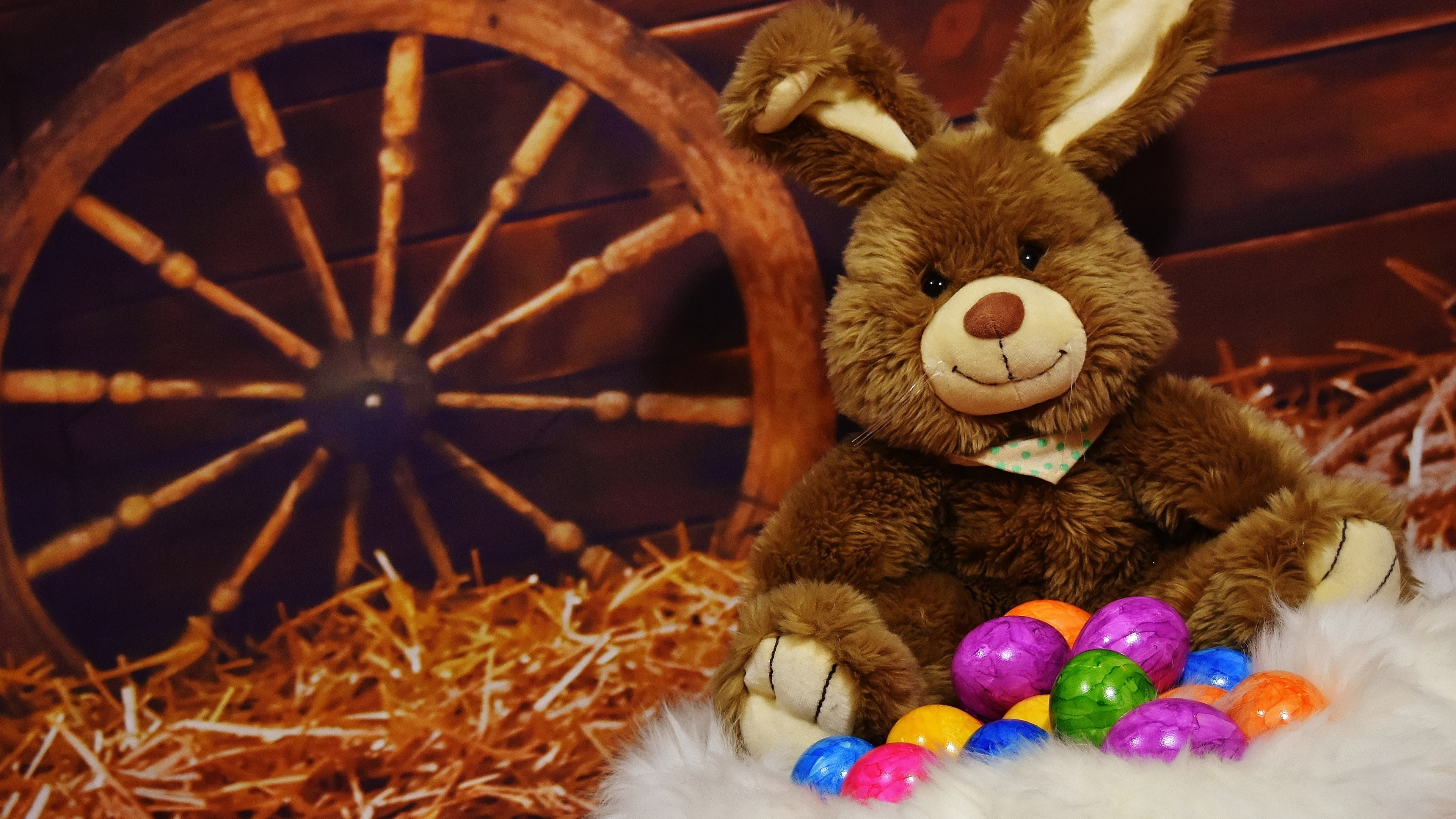 Easter, bunny, 4k