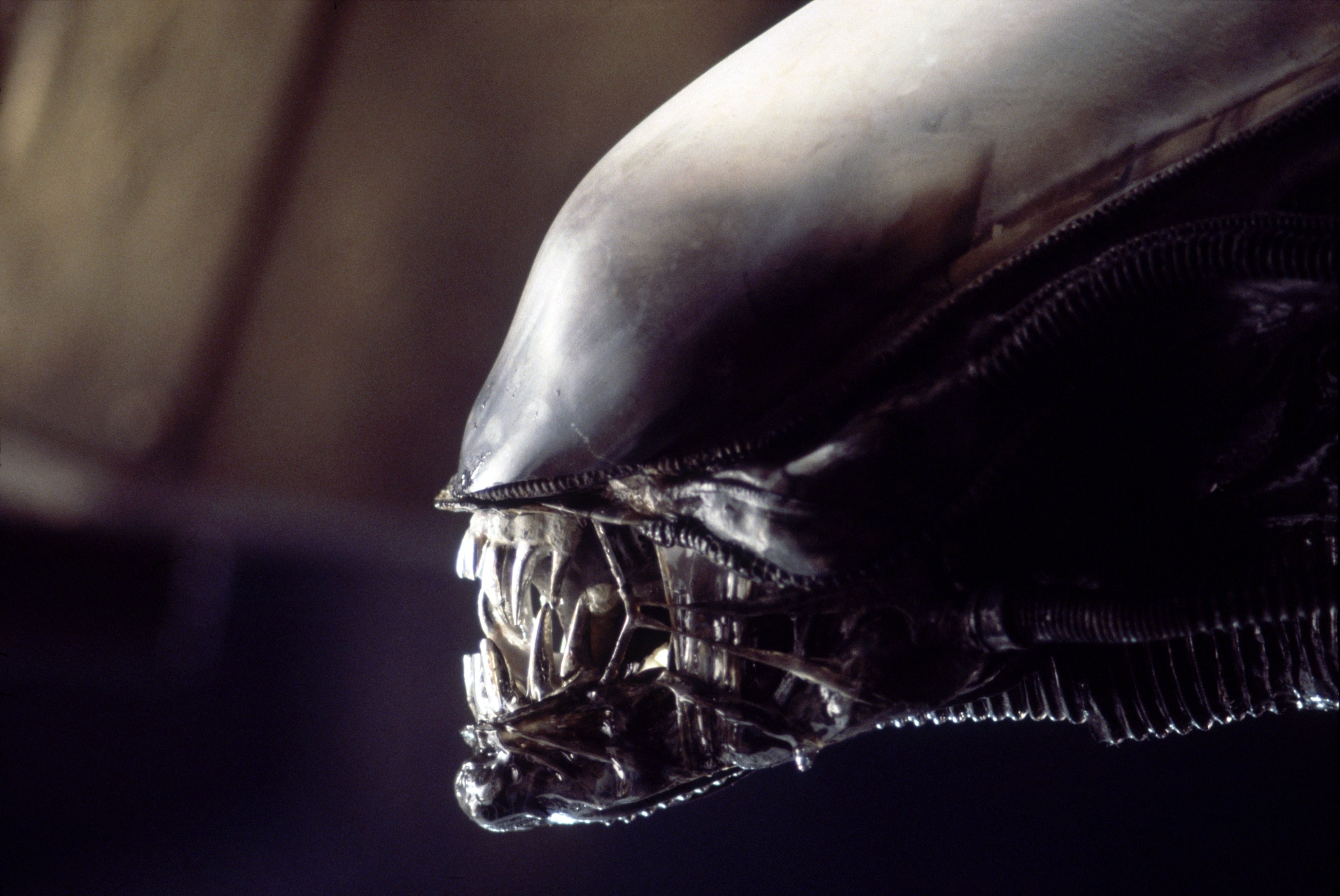 movies xenomorph creatures teeth aliens movie alien giger Entertainment Movies HD Art