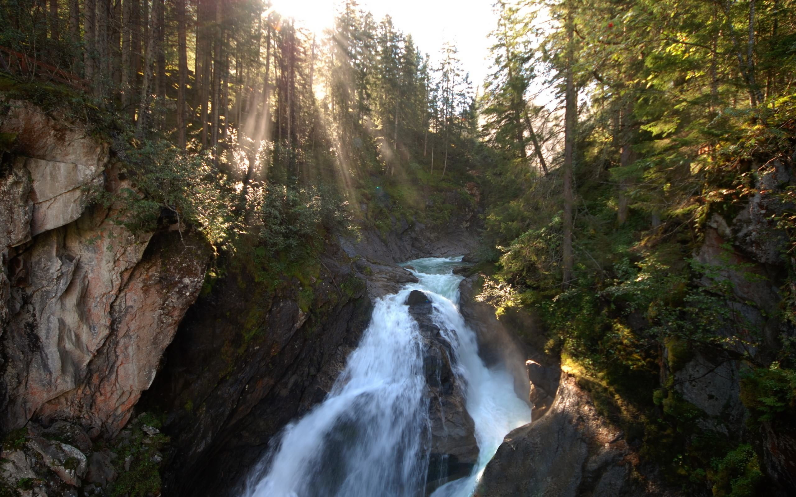 waterfalls, nature, Sun, landscape, sun rays, forest, trees, beauty in nature
