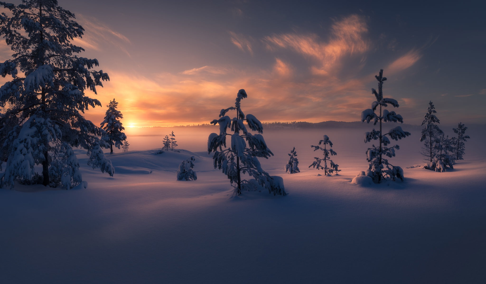 winter, snow, trees, sunset, Norway, the snow, RINGERIKE