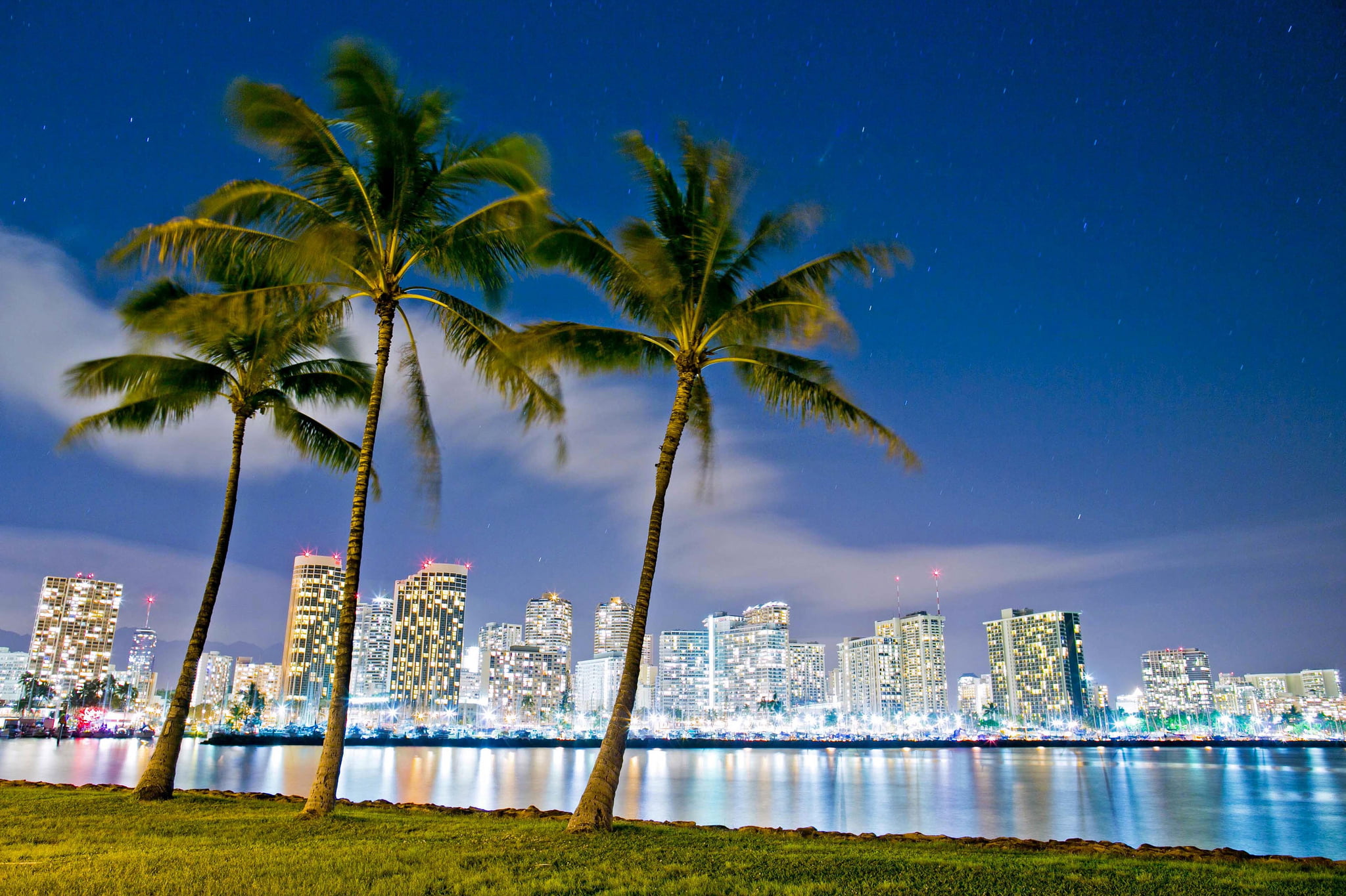 green leafed trees, night, lights, Hawaii, Honolulu, Ala Moana