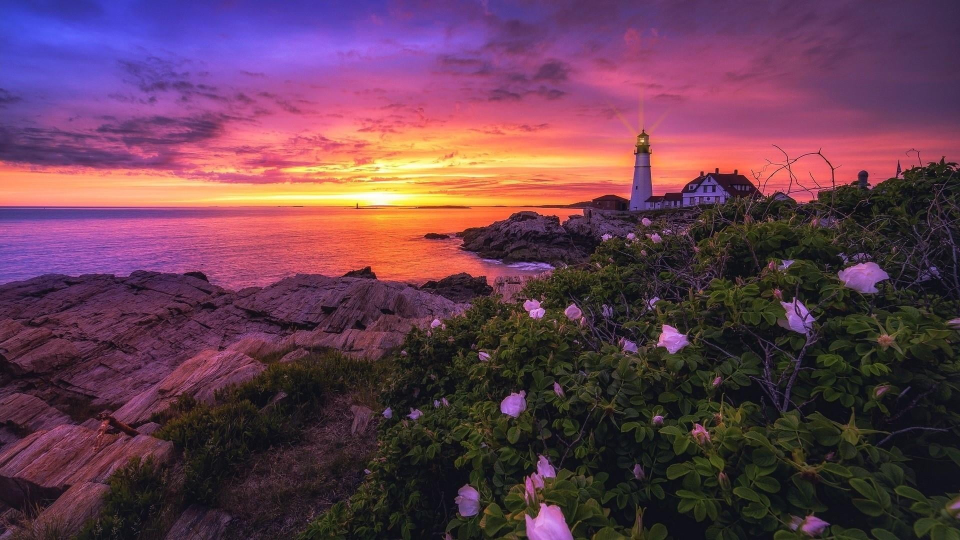 sky, sunset, lighthouse, sea, flower, evening, horizon, tower