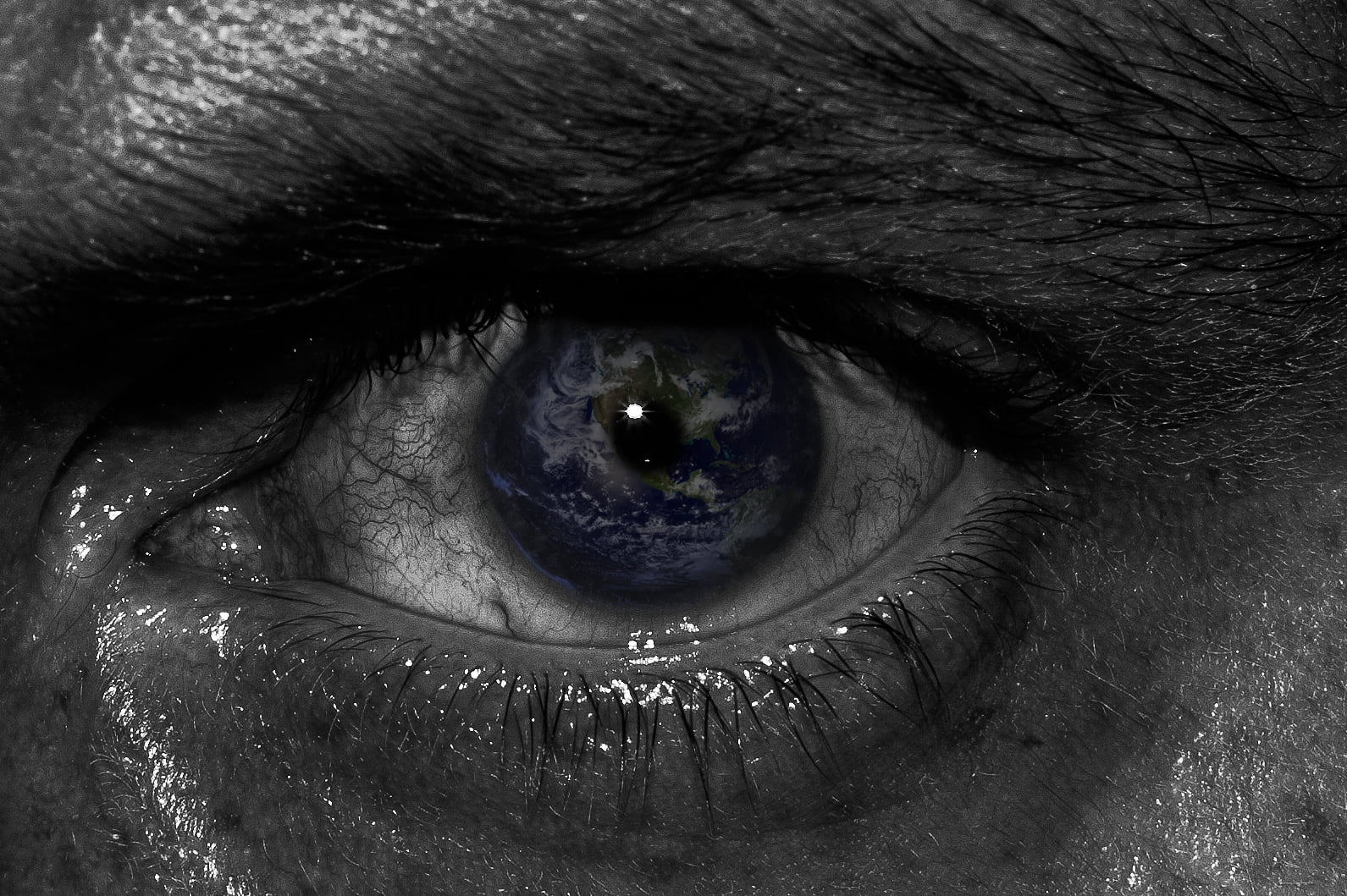 grayscale photo of person's eye, Happy, Earth Day, Peterborough