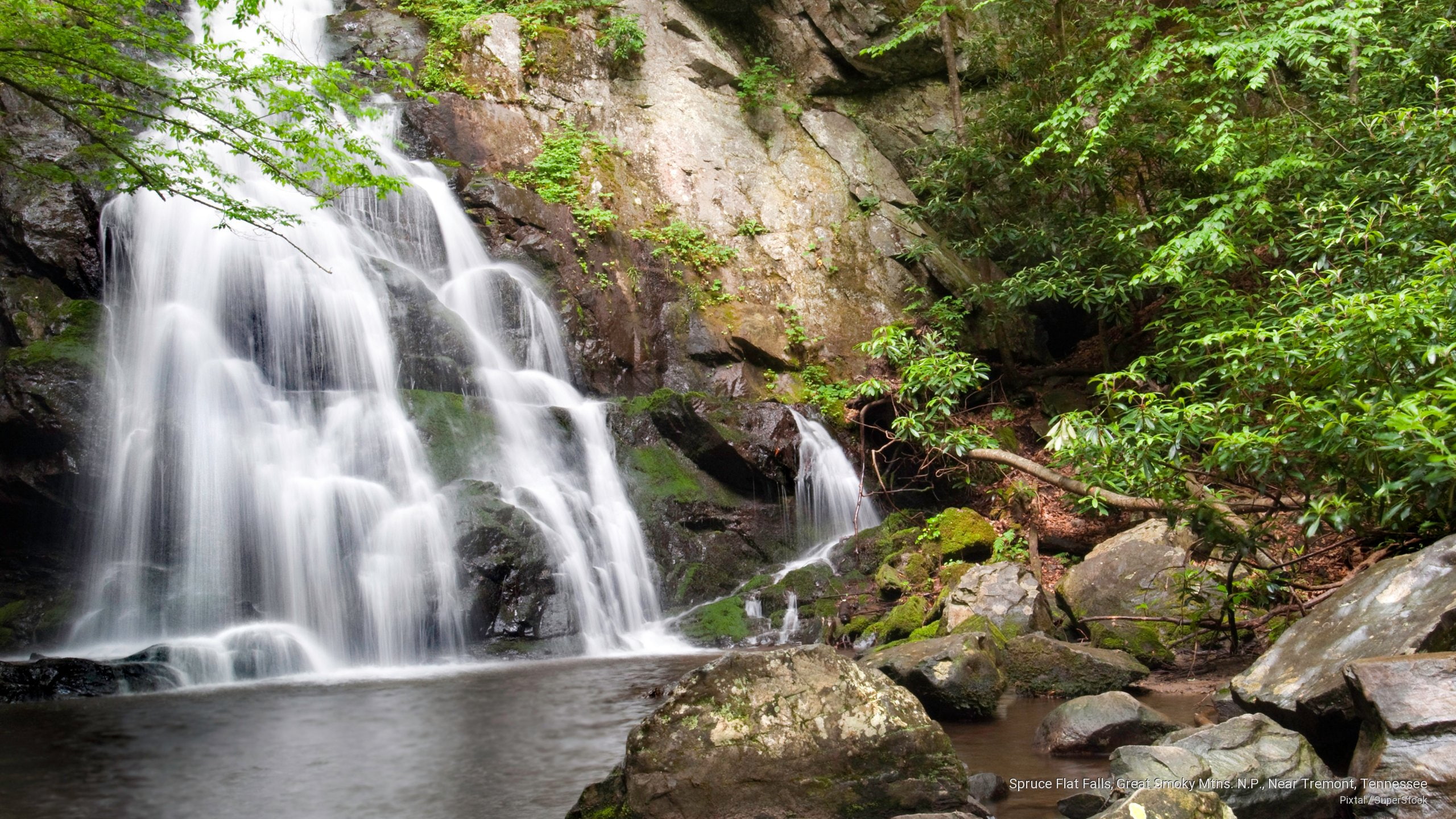 Spruce Flat Falls, Great Smoky Mtns. N.P., Near Tremont, Tennessee