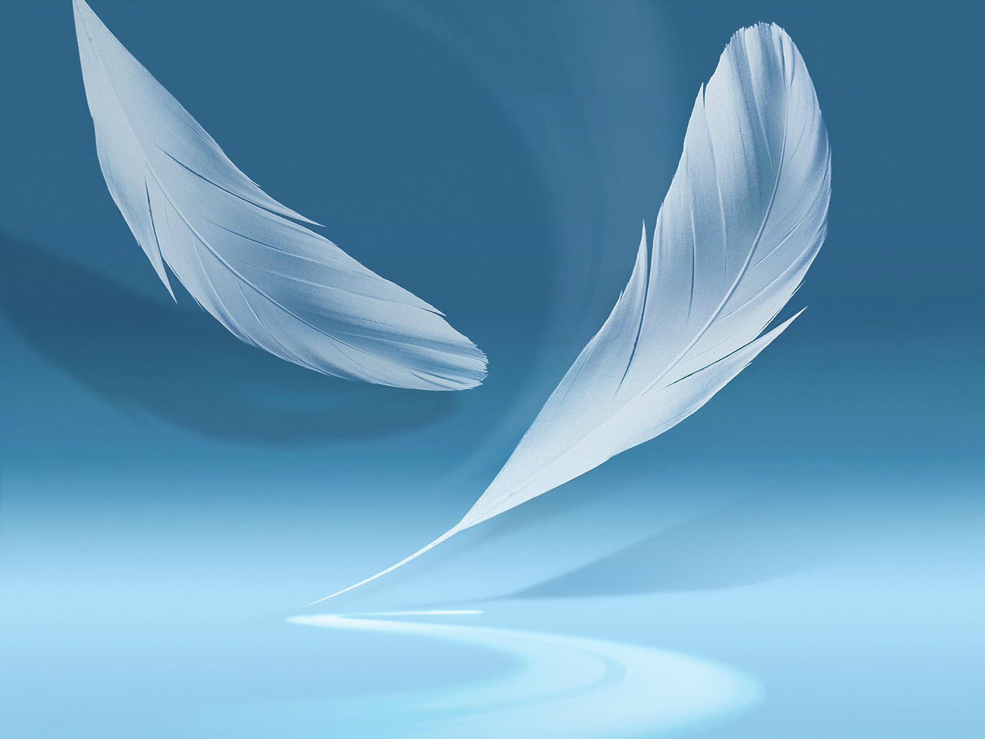 two white feathers, background, shadow, Galaxy Note 2, abstract