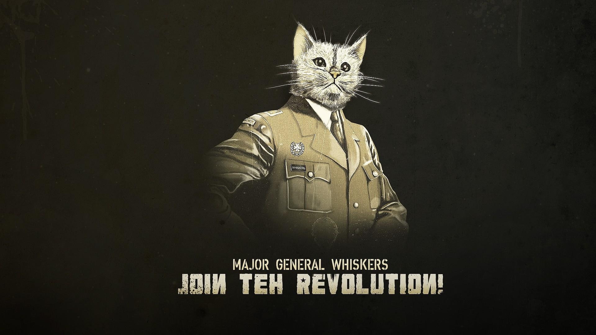 Animals Cats Humor Funny Uniform Statement Whiskers Kitten Military Revolution Magazine