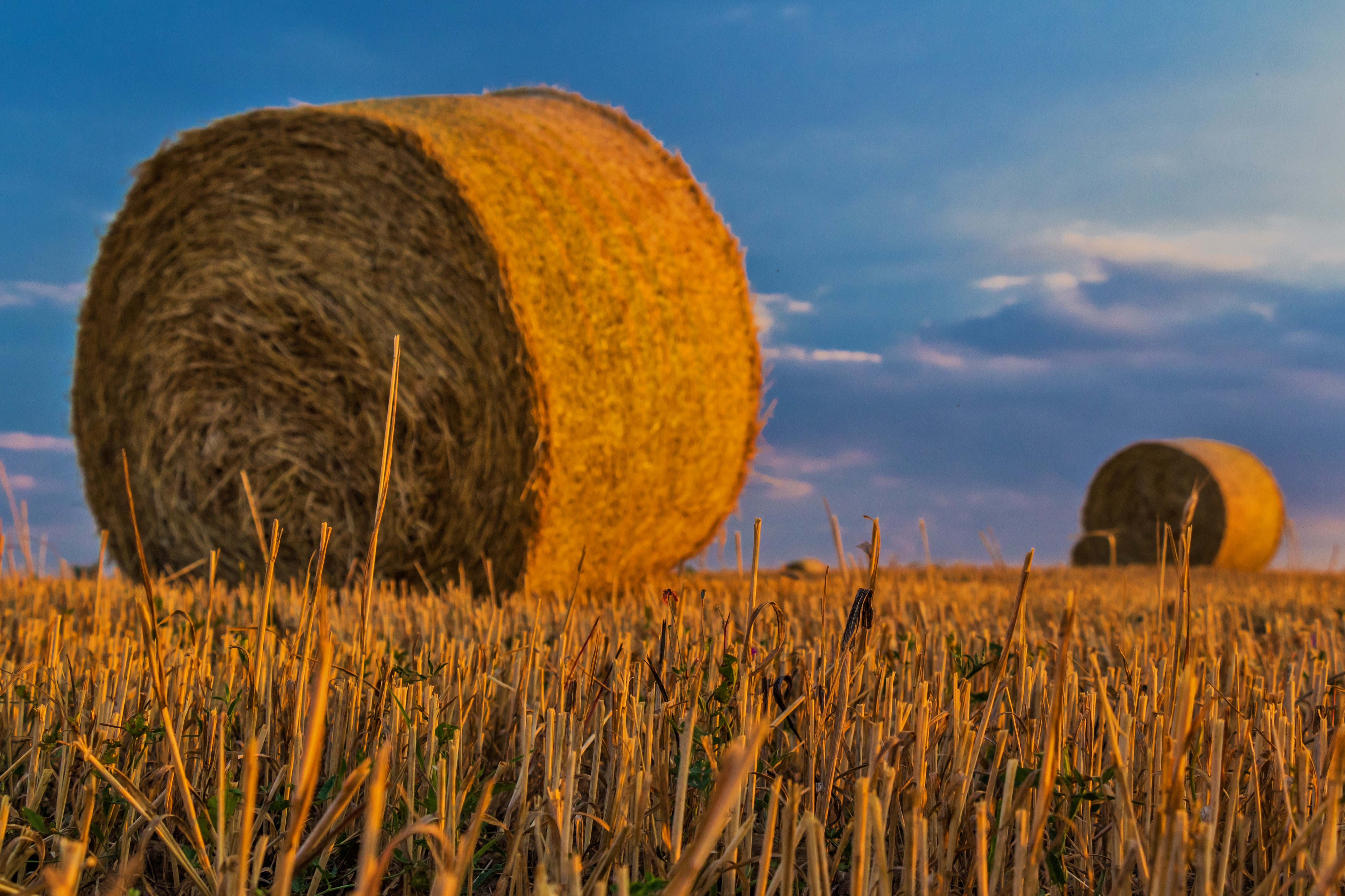 haystack